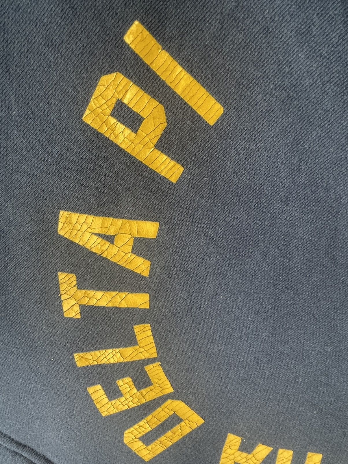 Champion Champion Alpha Delta Pi Hoodie Size US M / EU 48-50 / 2 - 13 Thumbnail