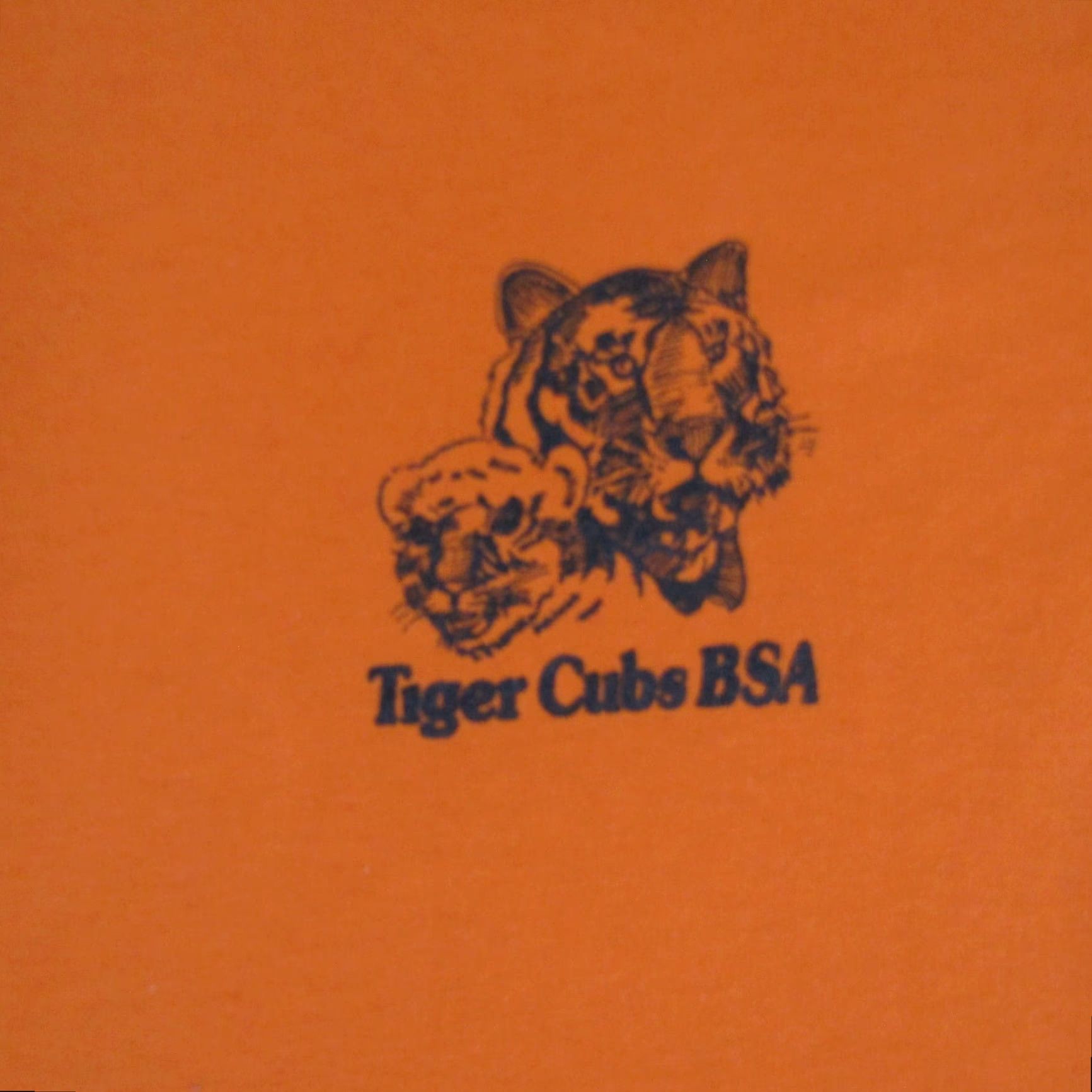 Hanes VINTAGE Boy Scouts Of America T Shirt Mens M Orange Tiger Cubs BSA 90s Tee Shirt Hanes Crew Neck Mens Medium 90s Theme Tigers Cubs Orange Cotton Tee Size US M / EU 48-50 / 2 - 3 Thumbnail