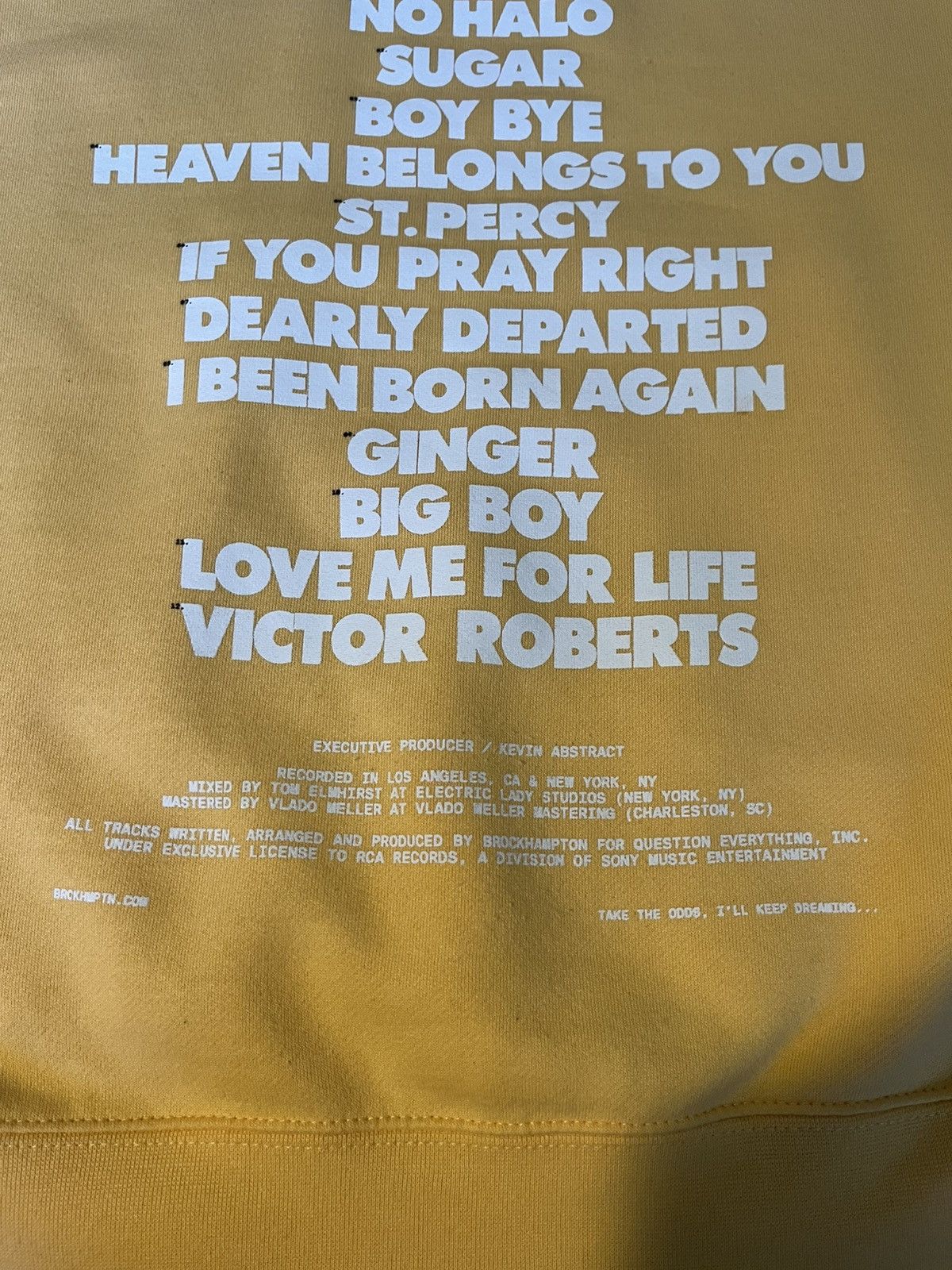 Brockhampton BROCKHAMPTON GINGER TOUR MERCH HOODIE Size US M / EU 48-50 / 2 - 10 Thumbnail
