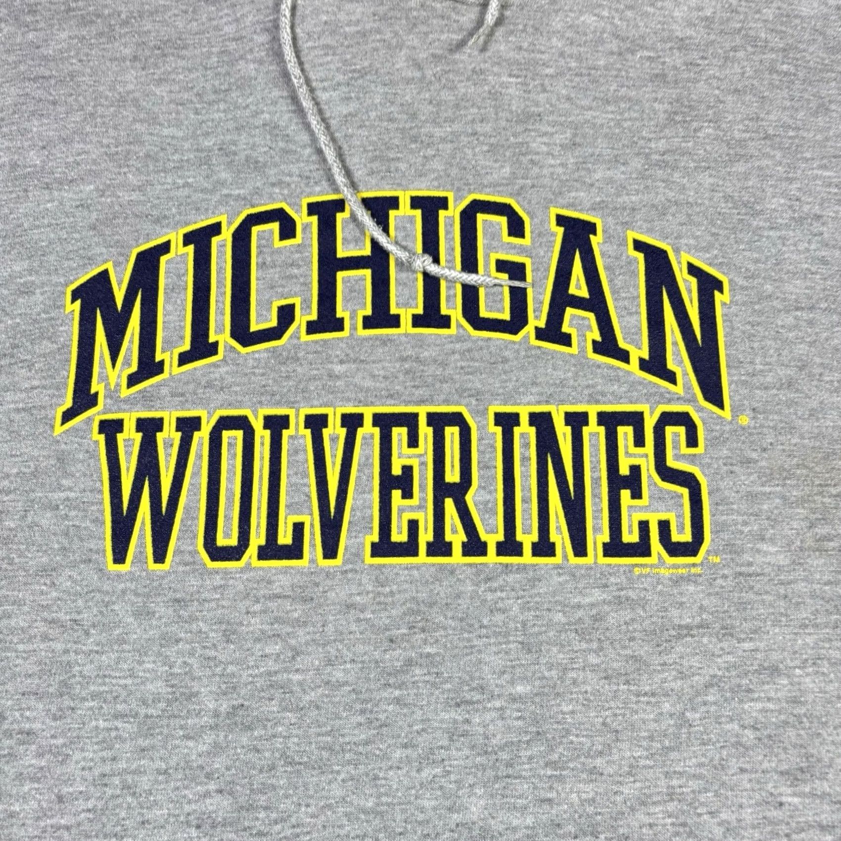 Lee VINTAGE Lee Hoodie Michigan Wolverines Gray XL 90s Mens Pullover Hooded Logo Knit Cotton Sweatshirt Size US XL / EU 56 / 4 - 6 Thumbnail