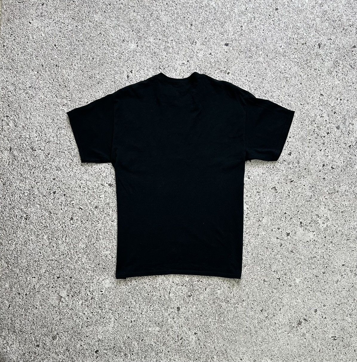Band Tees × Vintage Vintage 2000’s Everly Pregnant Brothers Band T-Shirt Size US L / EU 52-54 / 3 - 5 Thumbnail
