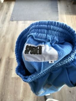 Sp5der Sp5der "OG Web" V2 Sweatshort (Dusty Blue) Size US 31 - 3 Thumbnail