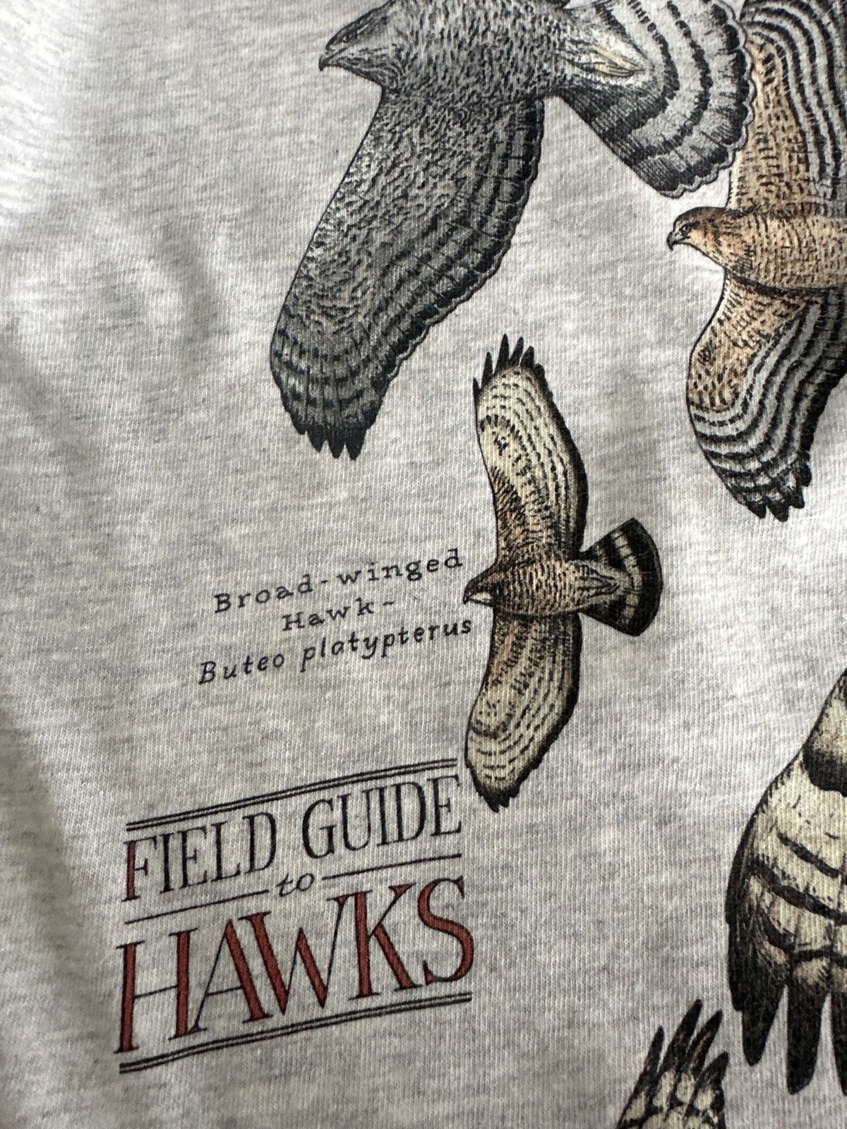 Vintage VINTAGE HAWKS HARBORSIDE TEE Size US M / EU 48-50 / 2 - 6 Thumbnail
