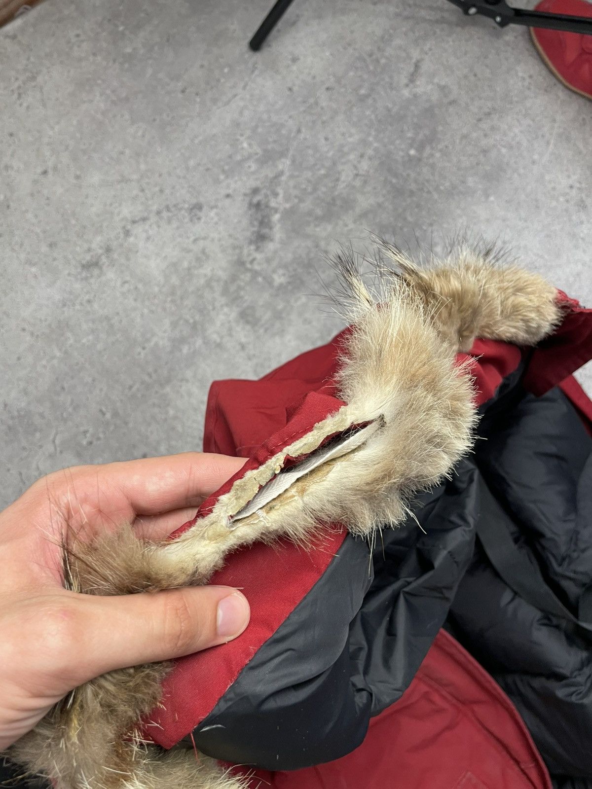 Canada Goose Canada Goose Chilliwack Bomber Fur Jacket Size US S / EU 44-46 / 1 - 13 Thumbnail