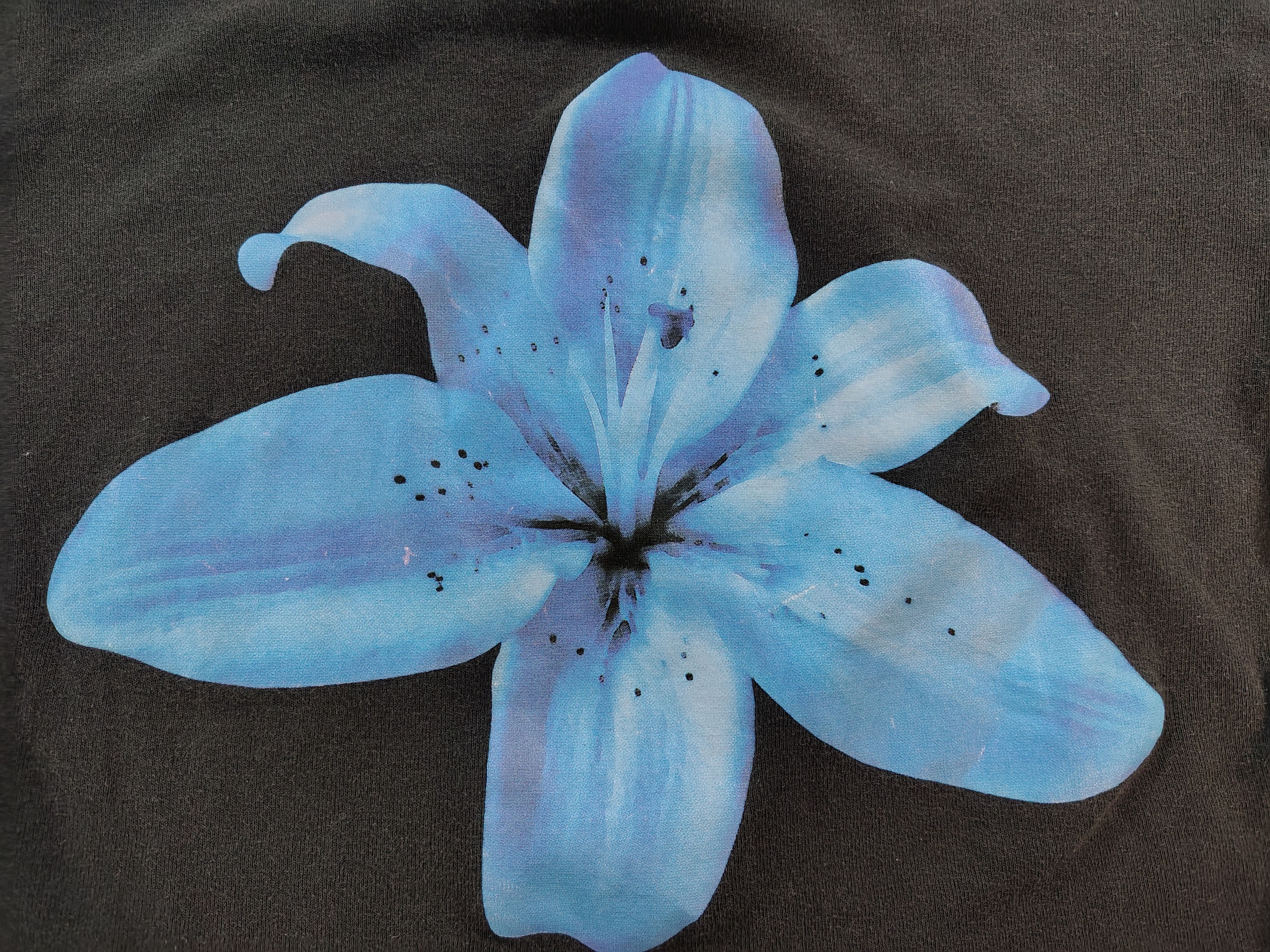 Other Women's Large Lucky 777 Blue Flower Graphic Crop Top Tee Size L / US 10 / IT 46 - 2 Thumbnail