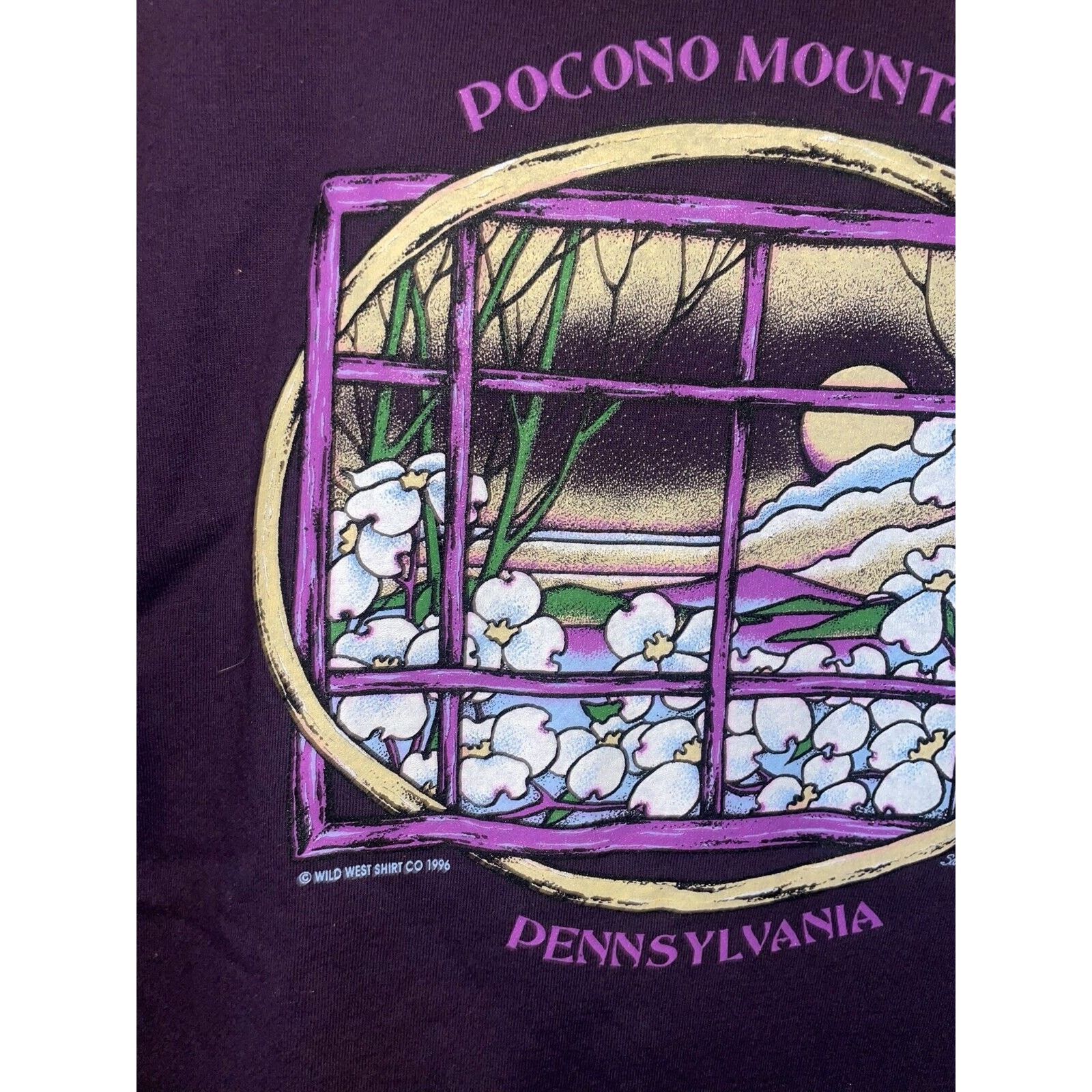 Jerzees Vintage Pennsylvania Shirt Pocono Mountans Stained Glass L Size US L / EU 52-54 / 3 - 2 Thumbnail