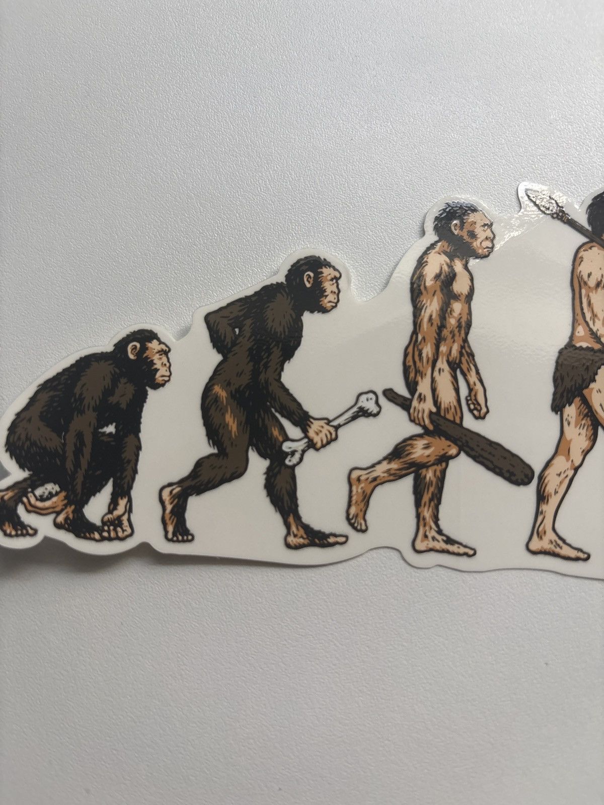 Supreme Supreme SS26 Evolution stickers Size ONE SIZE - 2 Thumbnail