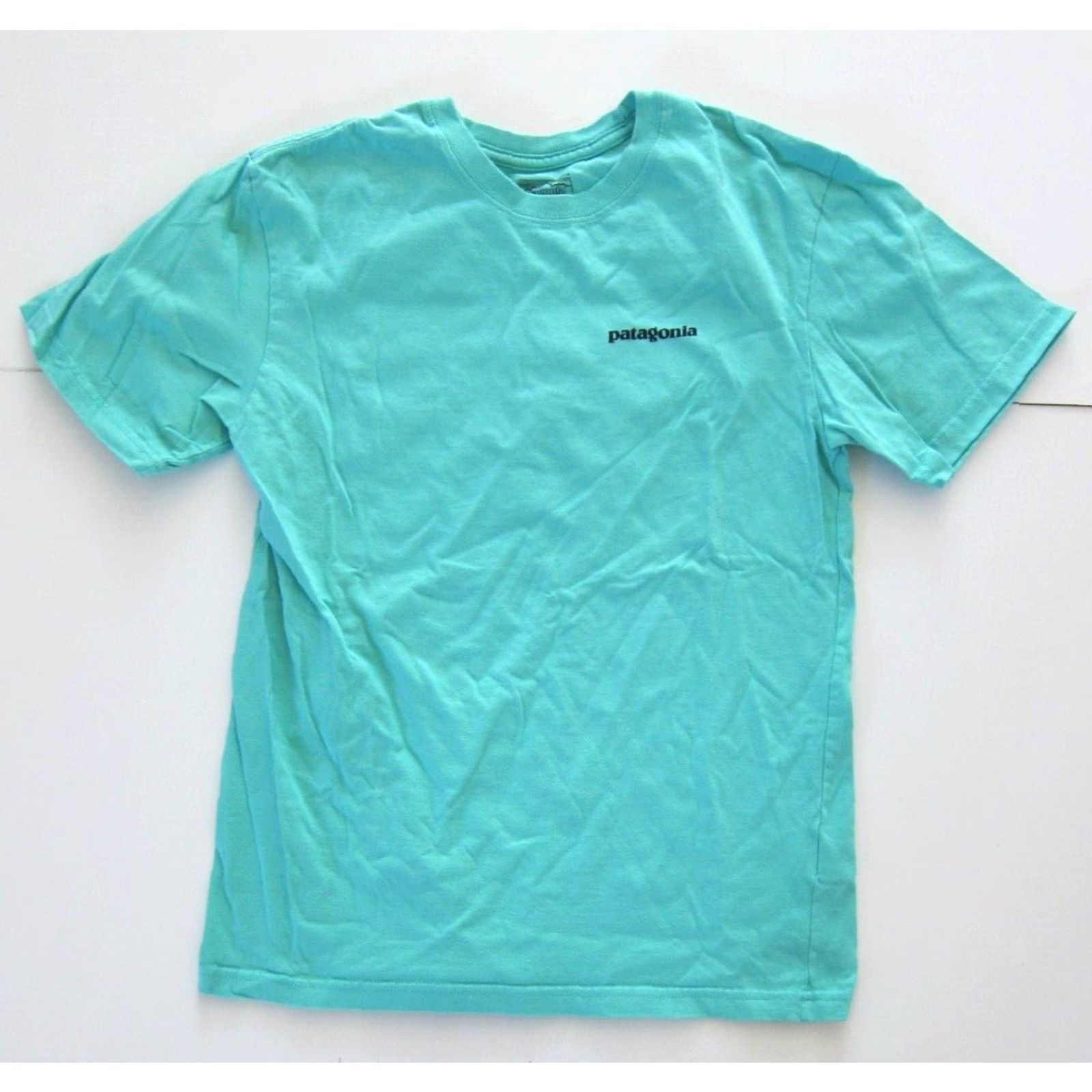 Patagonia VINTAGE Patagonia T-Shirt Men XS 100% Cotton Teal Blue Mountain Crew Neck 90s Shirt Mens XS Blue Size US XS / EU 42 / 0 - 2 Thumbnail