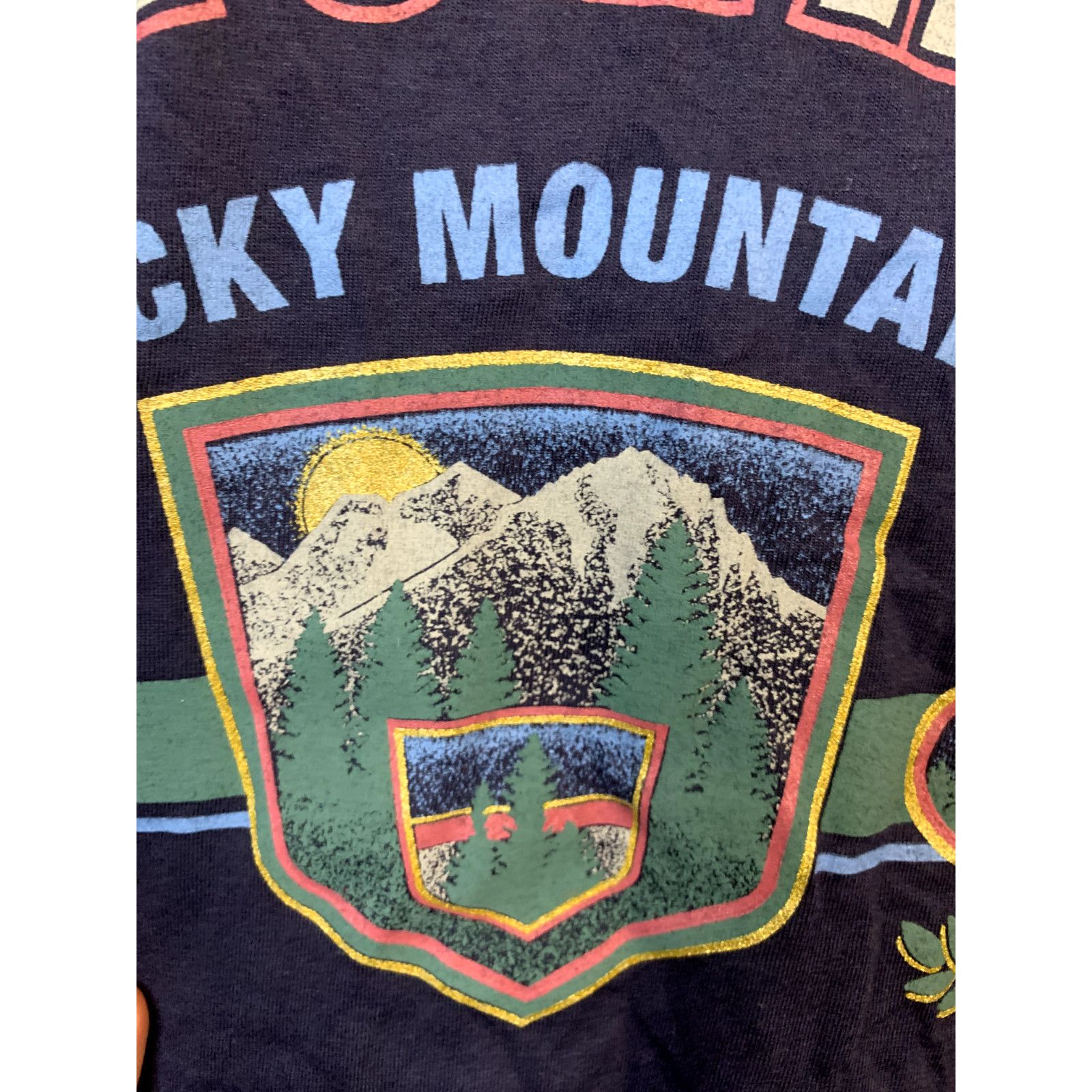 Jerzees Vintage Rocky Mountains Shirt Estes Park Tee VTG 1993 Large Size US L / EU 52-54 / 3 - 7 Thumbnail