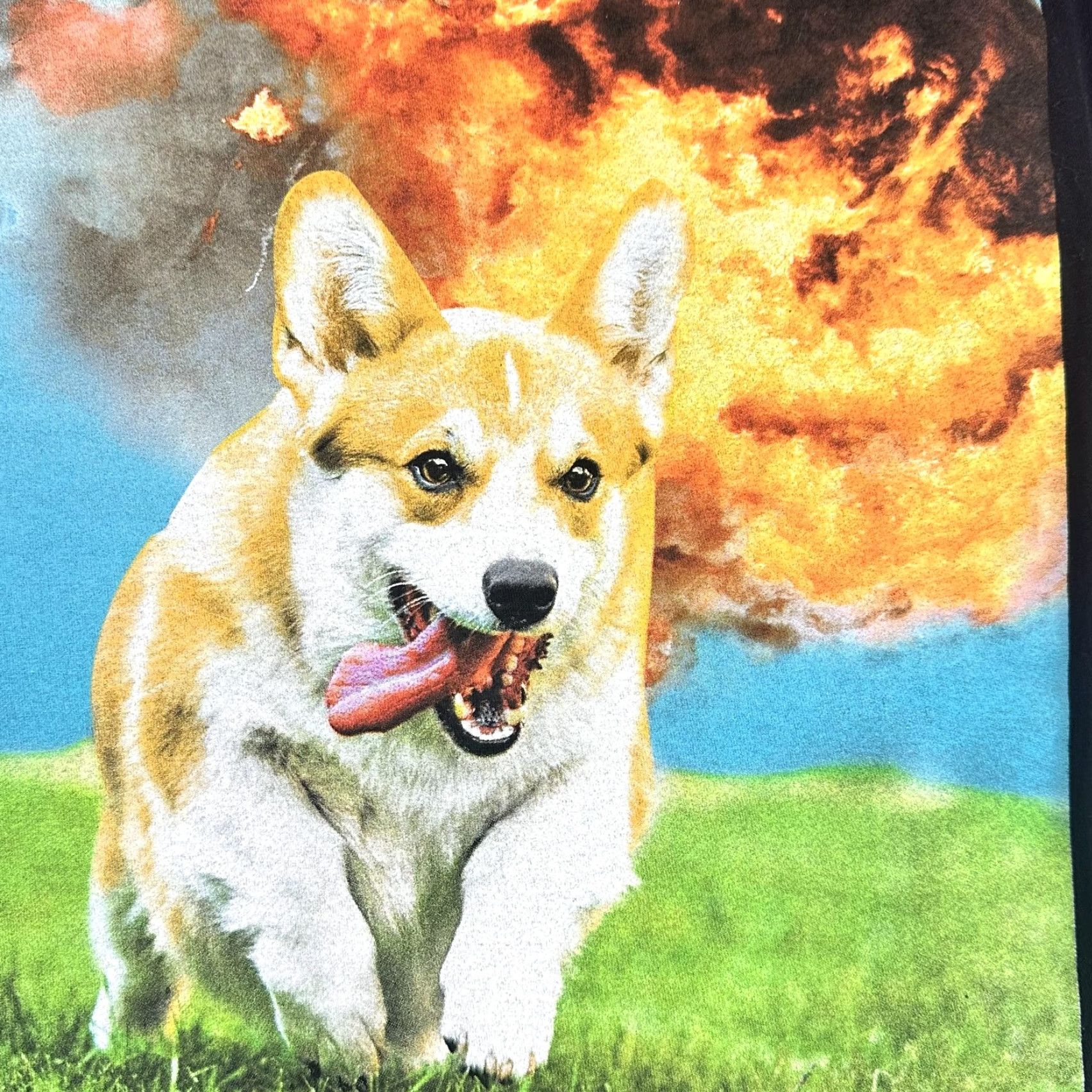 Corgi Black Matter Shirt Mens Large Black Corgi Dog Explosion Graphic Tee Funny Topic Size US M / EU 48-50 / 2 - 4 Thumbnail