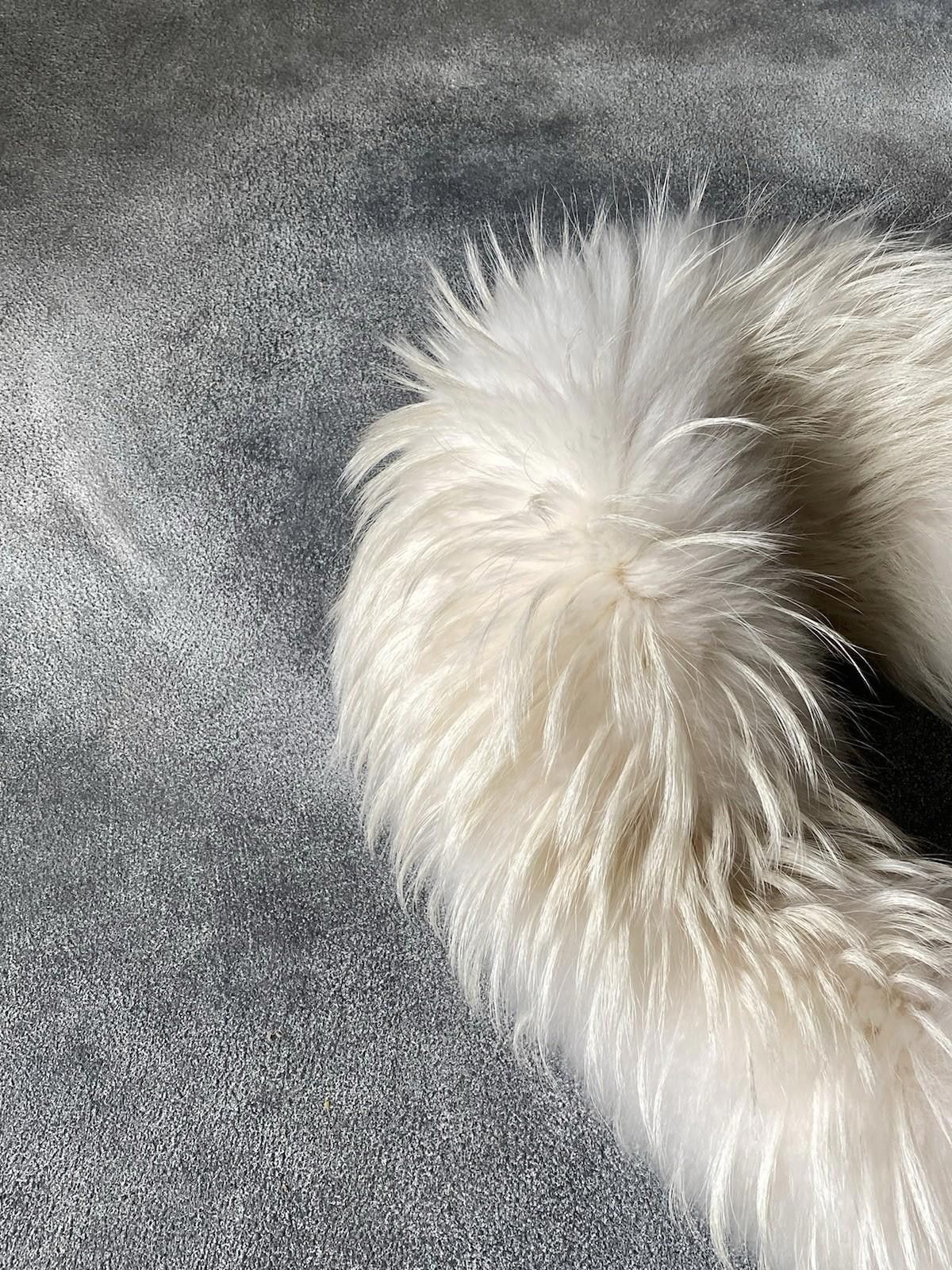 Rossignol 2014 Alexander McQueen Real Fur Finnraccoon Scarf Collar Size ONE SIZE - 9 Thumbnail