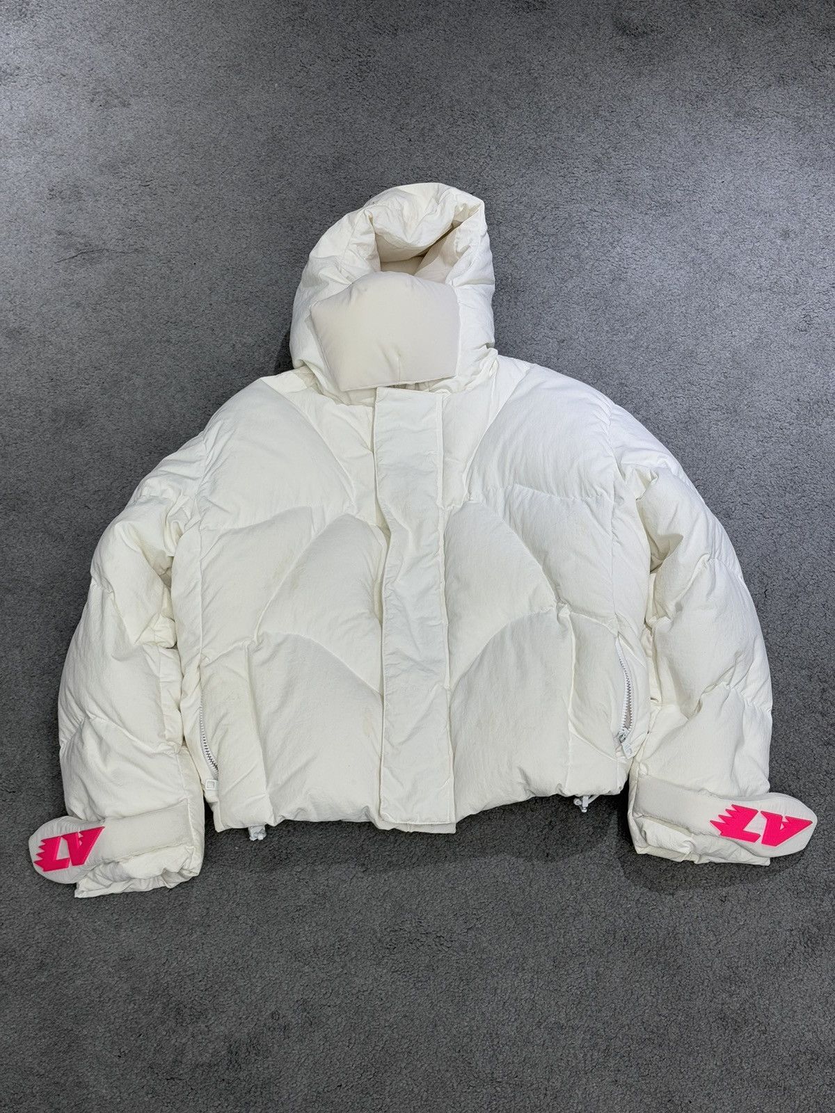 Louis Vuitton 22ss down jacket