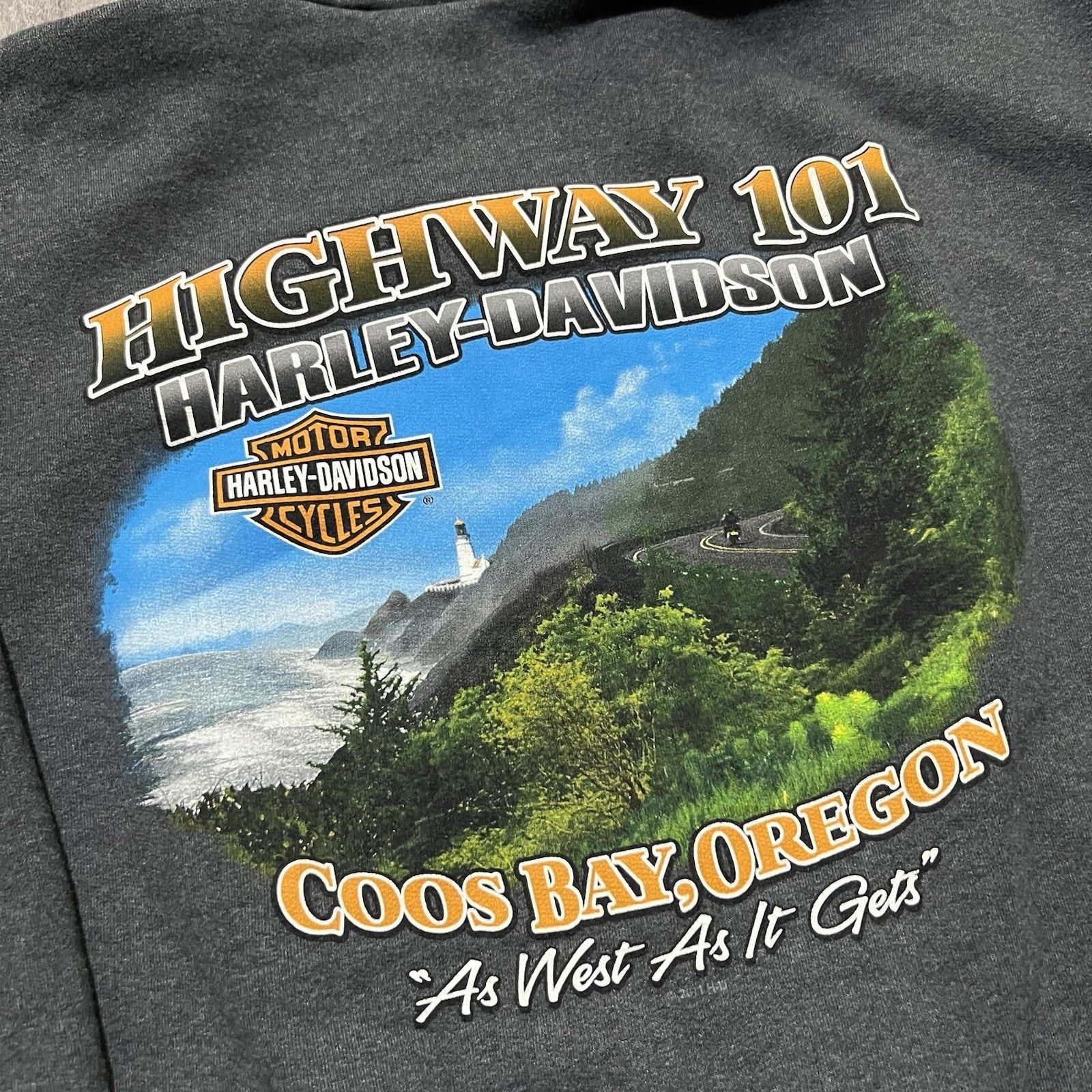 Harley Davidson Harley Davidson Grey Full Zip Biker Hoodie Coos Bay Oregon Size US M / EU 48-50 / 2 - 4 Thumbnail