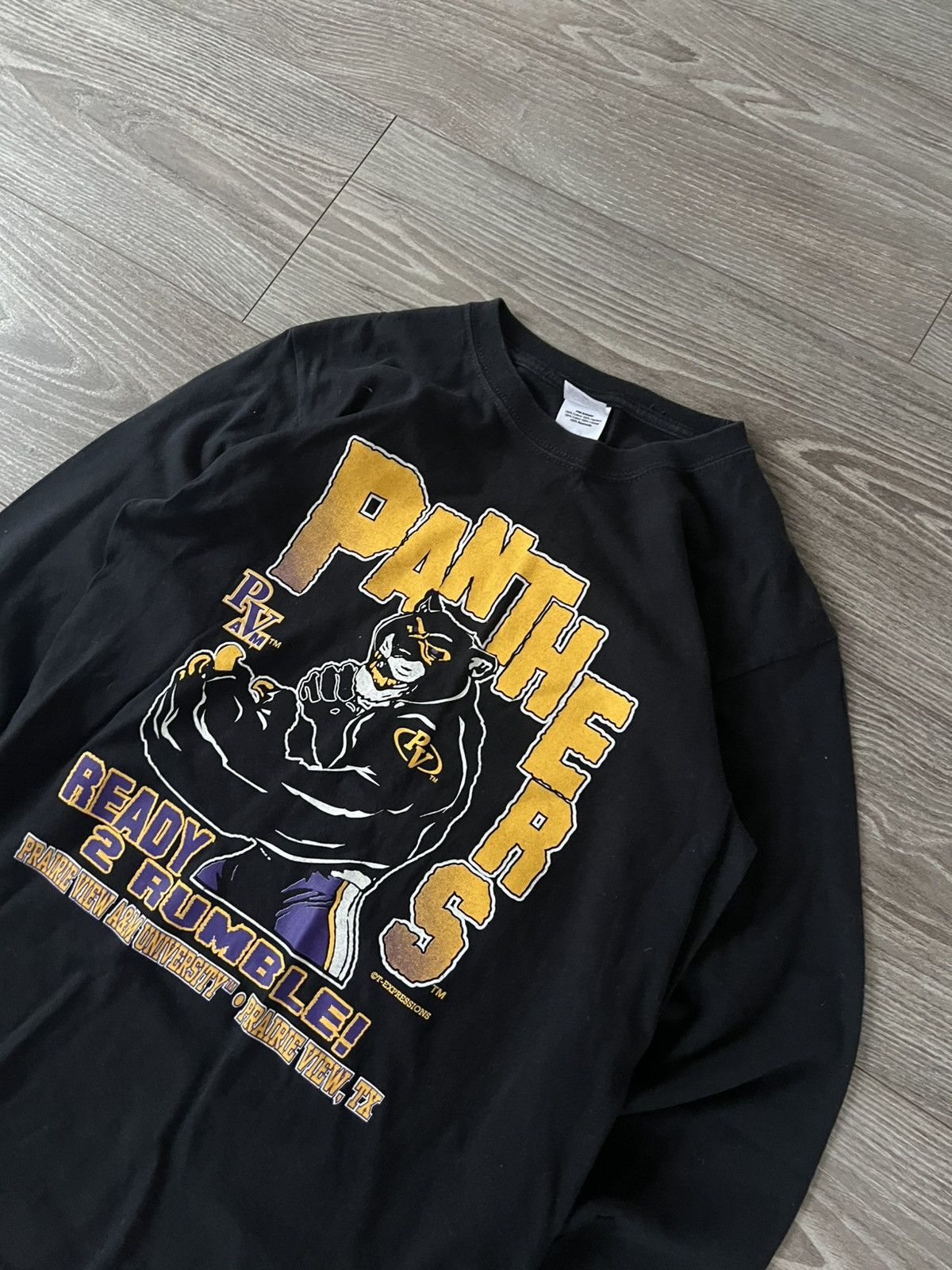 Band Tees × Vintage ‼️Panthers by Anvil Big Logo Print Long Sleeve Size US L / EU 52-54 / 3 - 10 Thumbnail