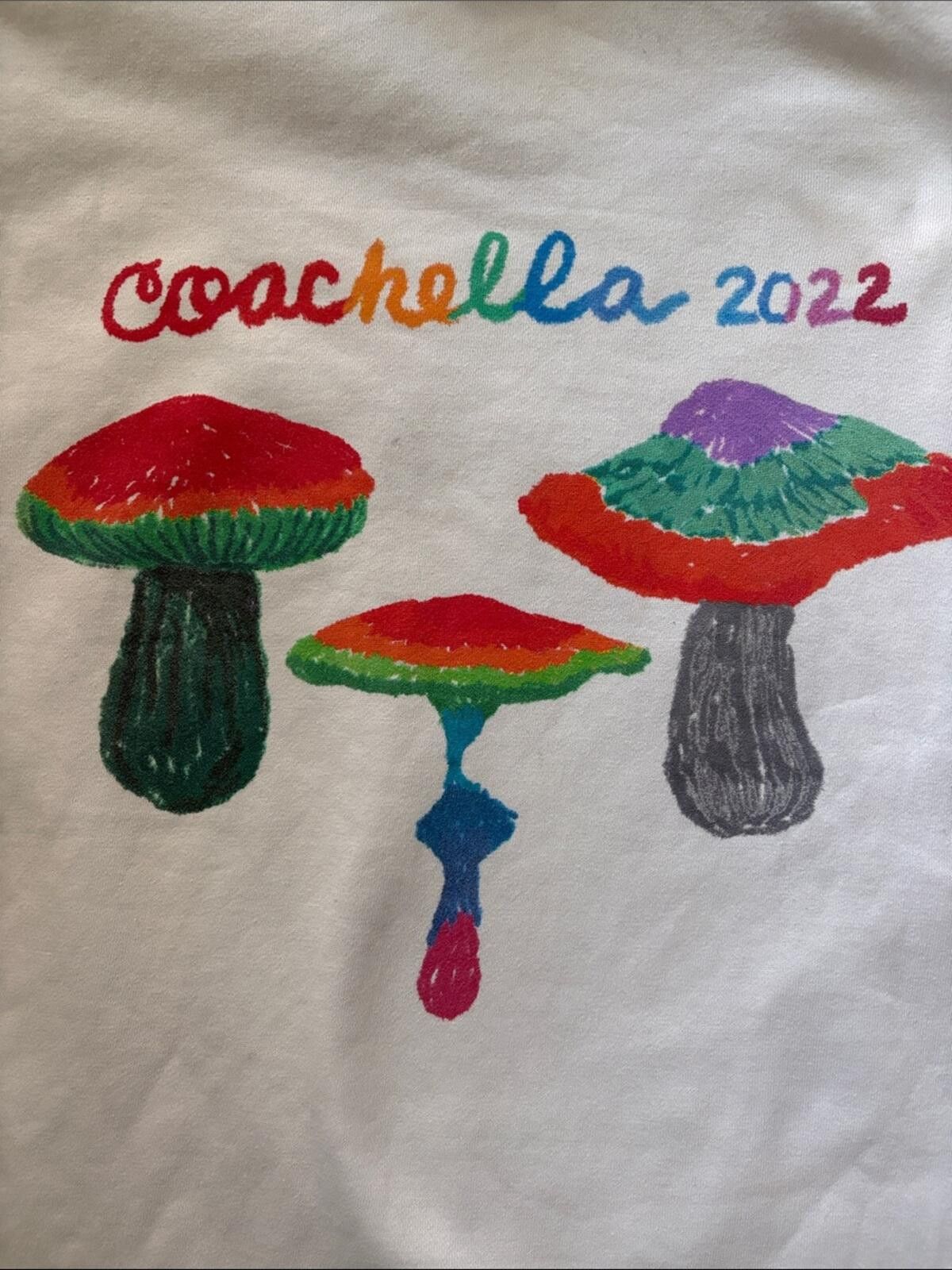 Coachella Skid Row Fashion Week x Coachella 2022 Mushroom Hoodie Size US XXL / EU 58 / 5 - 8 Thumbnail