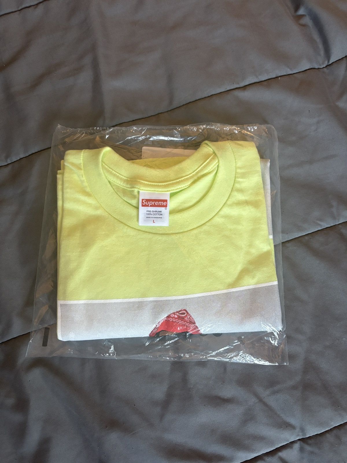 トップス Supreme Playboi Carti Tee \"Pale Green\" Supreme Playboi Carti Tee Pale Green – Holy Ground
