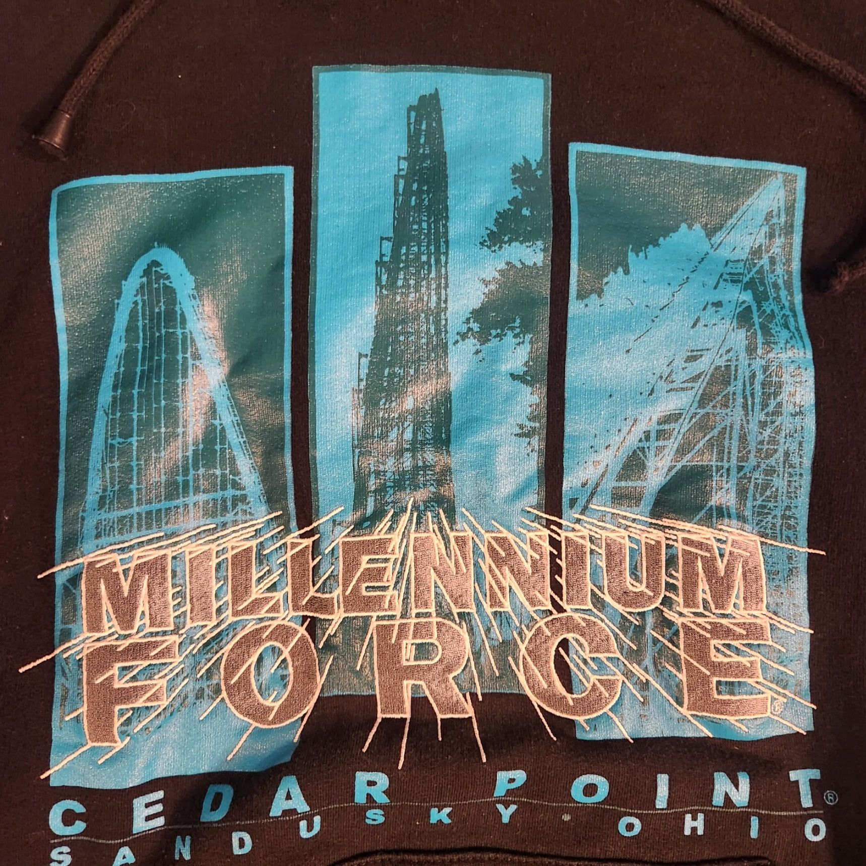 Vintage VINTAGE Cedar Point Hoodie Millennium Force Mens XL Roller Coaster Park Sweater Hoodie Black Long Sleeve Round Neck Regular Size (XL) Mens Size US XL / EU 56 / 4 - 2 Thumbnail