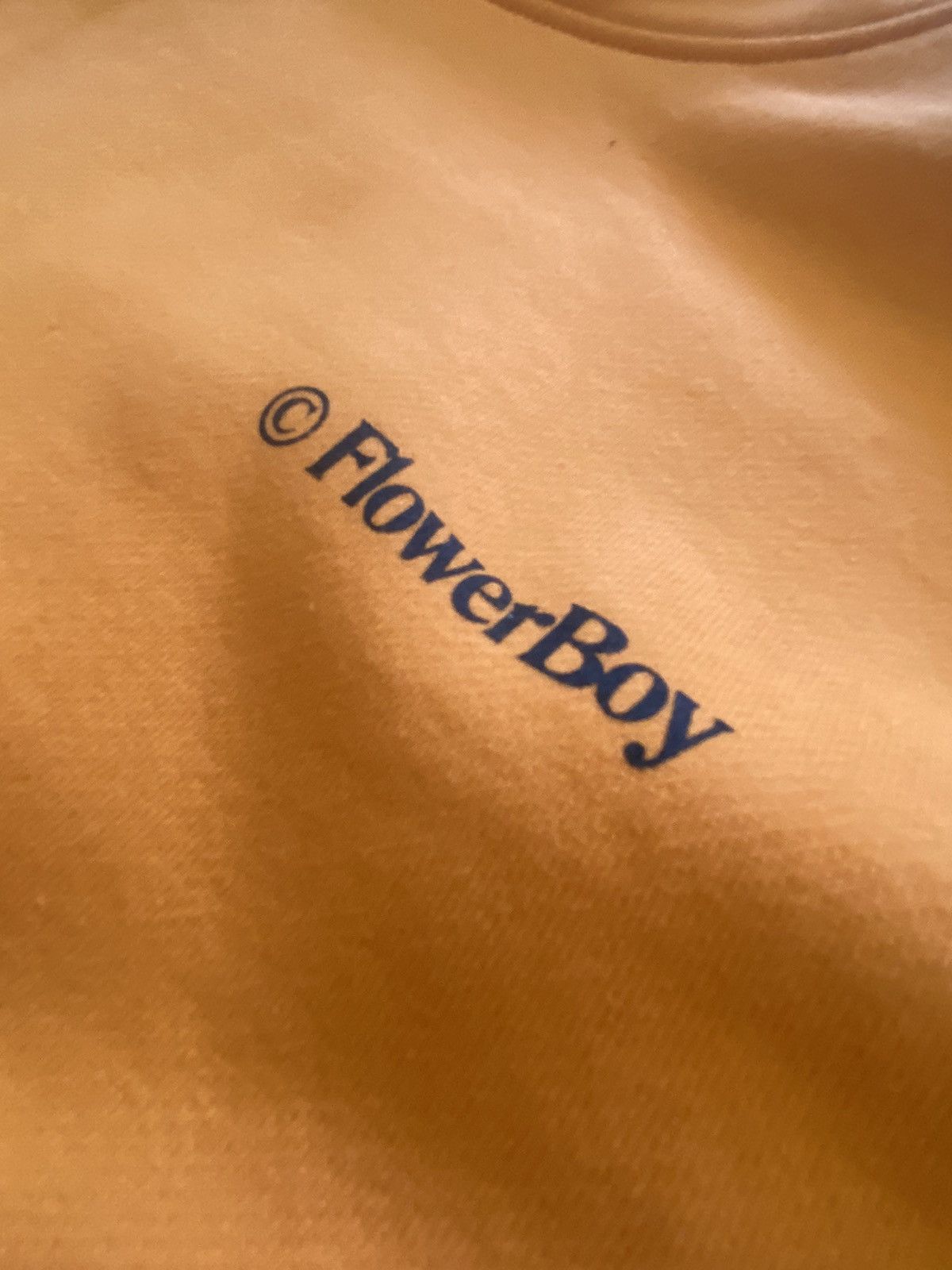 Golf Wang Golf Wang Flower Boy orange hoodie. With french waltz. Size US M / EU 48-50 / 2 - 3 Thumbnail