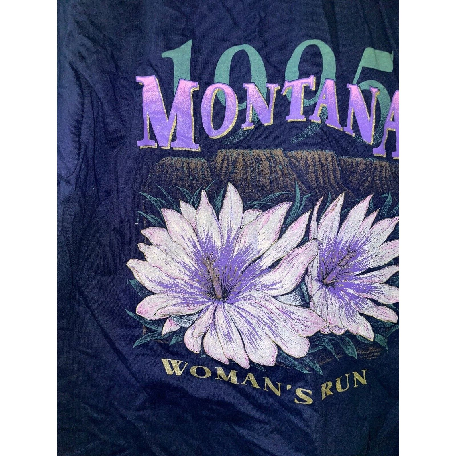 Jerzees Vintage Virginia Shirt Blue Ridge Mountains Tee VTG 90s M Size US M / EU 48-50 / 2 - 8 Thumbnail