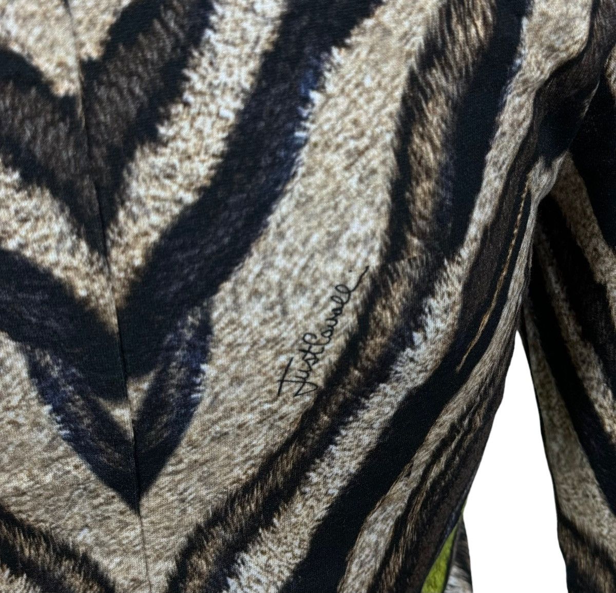 Just Cavalli Just Cavalli Animal Print Longsleeve Size S Size S / US 4 / IT 40 - 9 Thumbnail
