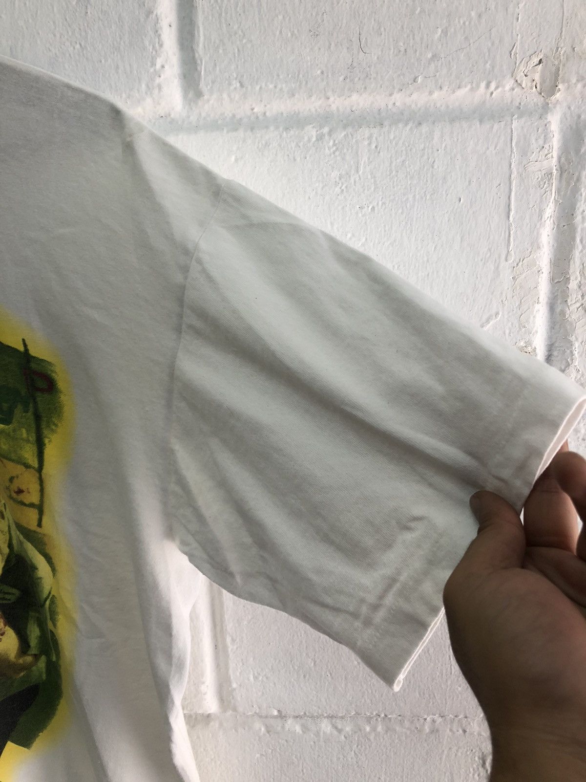 Vtg 1995 Green Day Insomniac Dookie Tour shirt