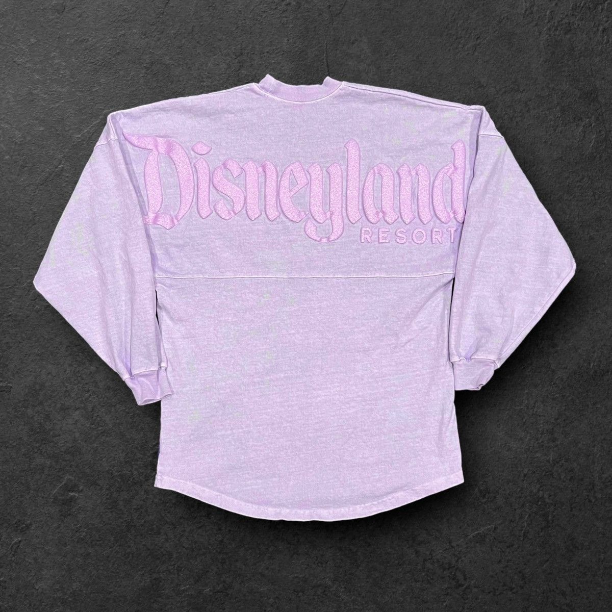 DisneylandResort キャッスルデザインスピリットジャージーL