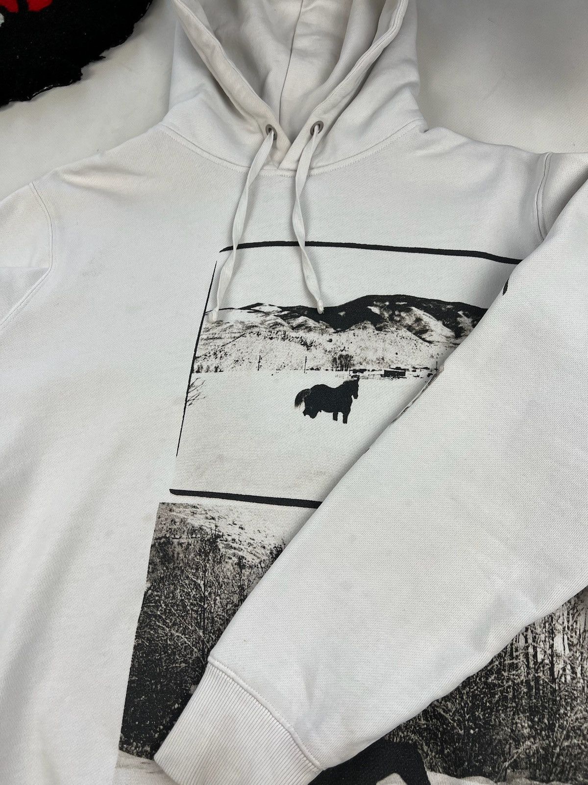 Andy Warhol Calvin Klein X Andy Warhol X Raf Simons Horse Print Hoodie Size US M / EU 48-50 / 2 - 5 Thumbnail