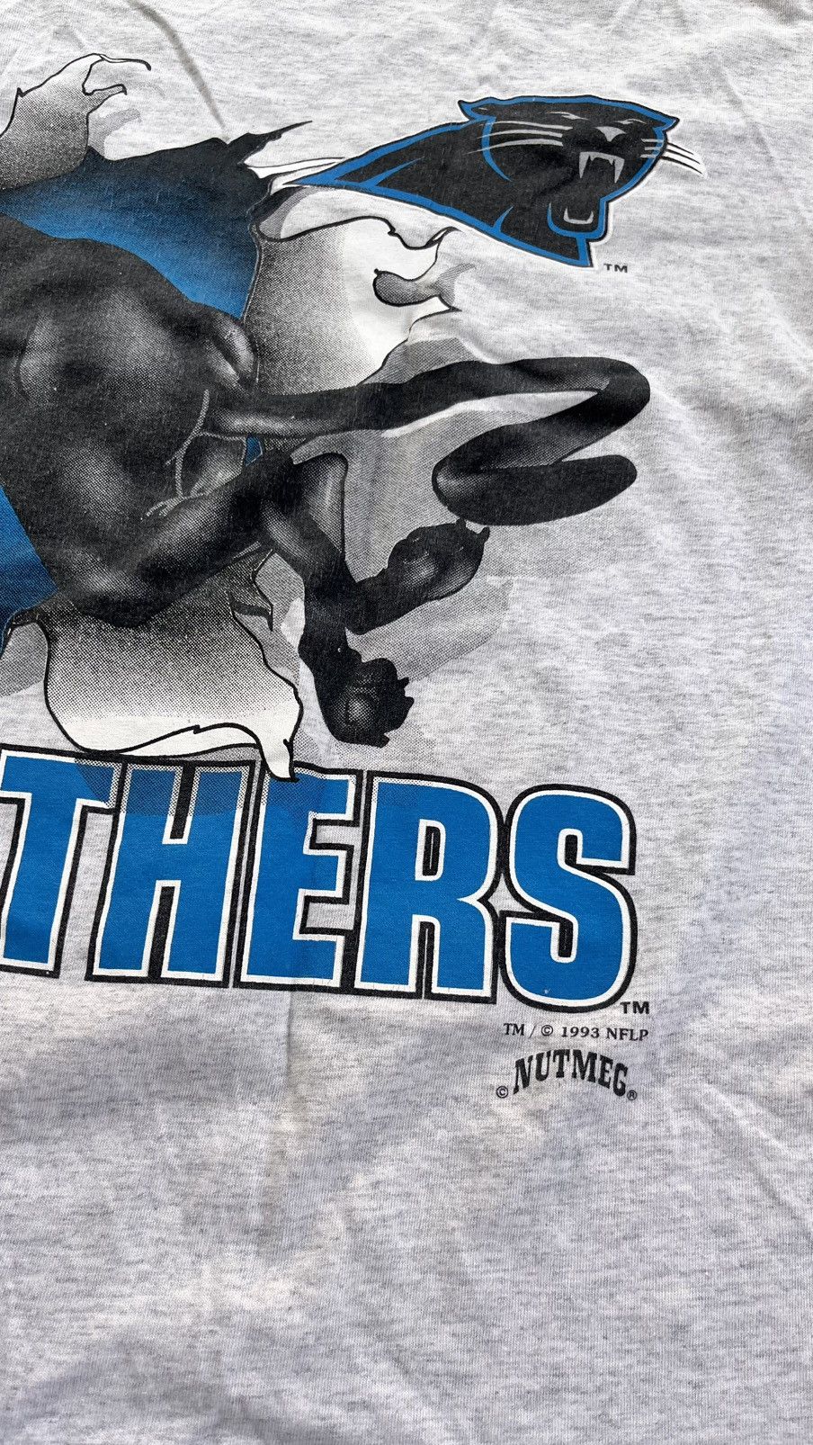 Nutmeg Vintage Tee NFL Carolina Panther Size US M / EU 48-50 / 2 - 5 Thumbnail