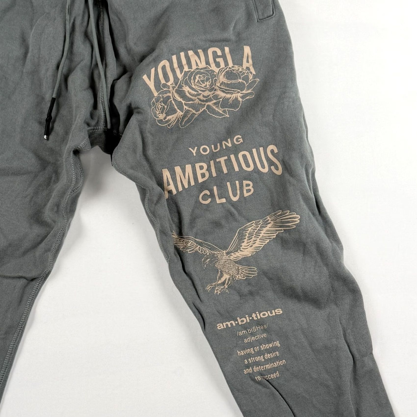 YoungLA YoungLA Immortal Joggers Mens Small Gray Drawstring Gym Sweatpants Size US 29 - 3 Thumbnail