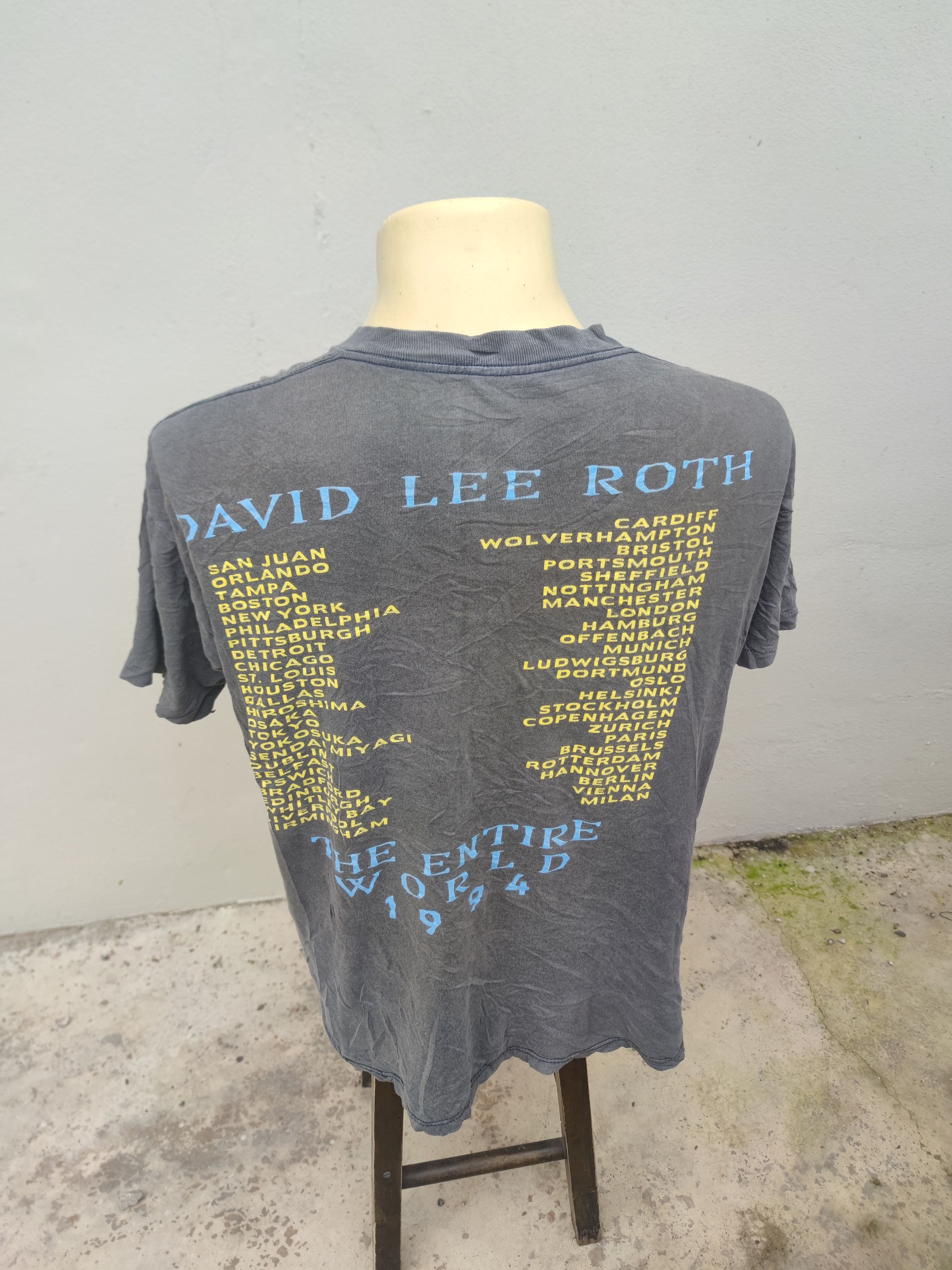 Band Tees Vintage 1994 David Lee Roth The Entire World Tour Tee Size US L / EU 52-54 / 3 - 11 Thumbnail
