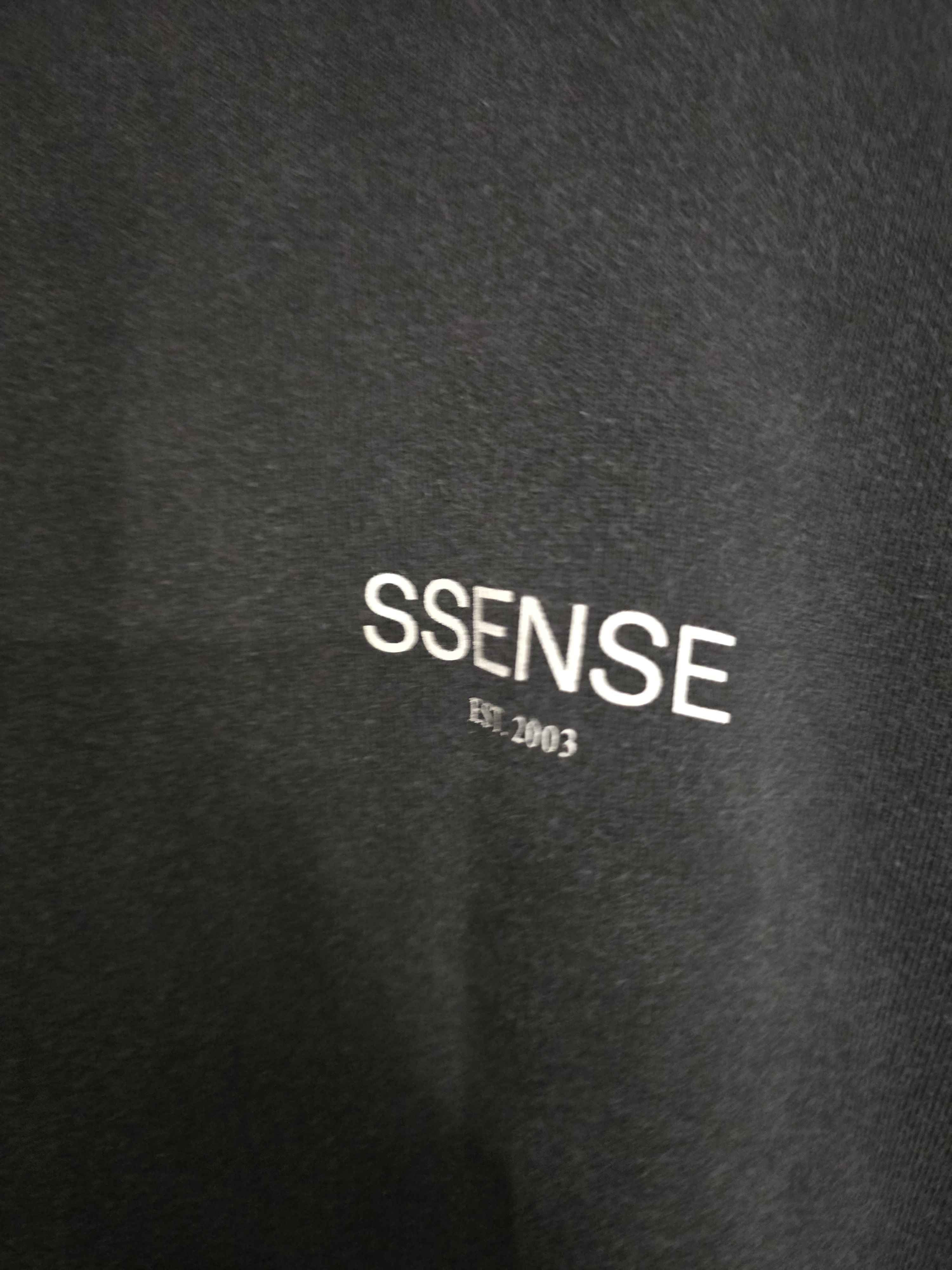 SSENSE SSENSE WORKS SSENSE XX Hoodie 20th anniversary Rare Size US M / EU 48-50 / 2 - 13 Thumbnail