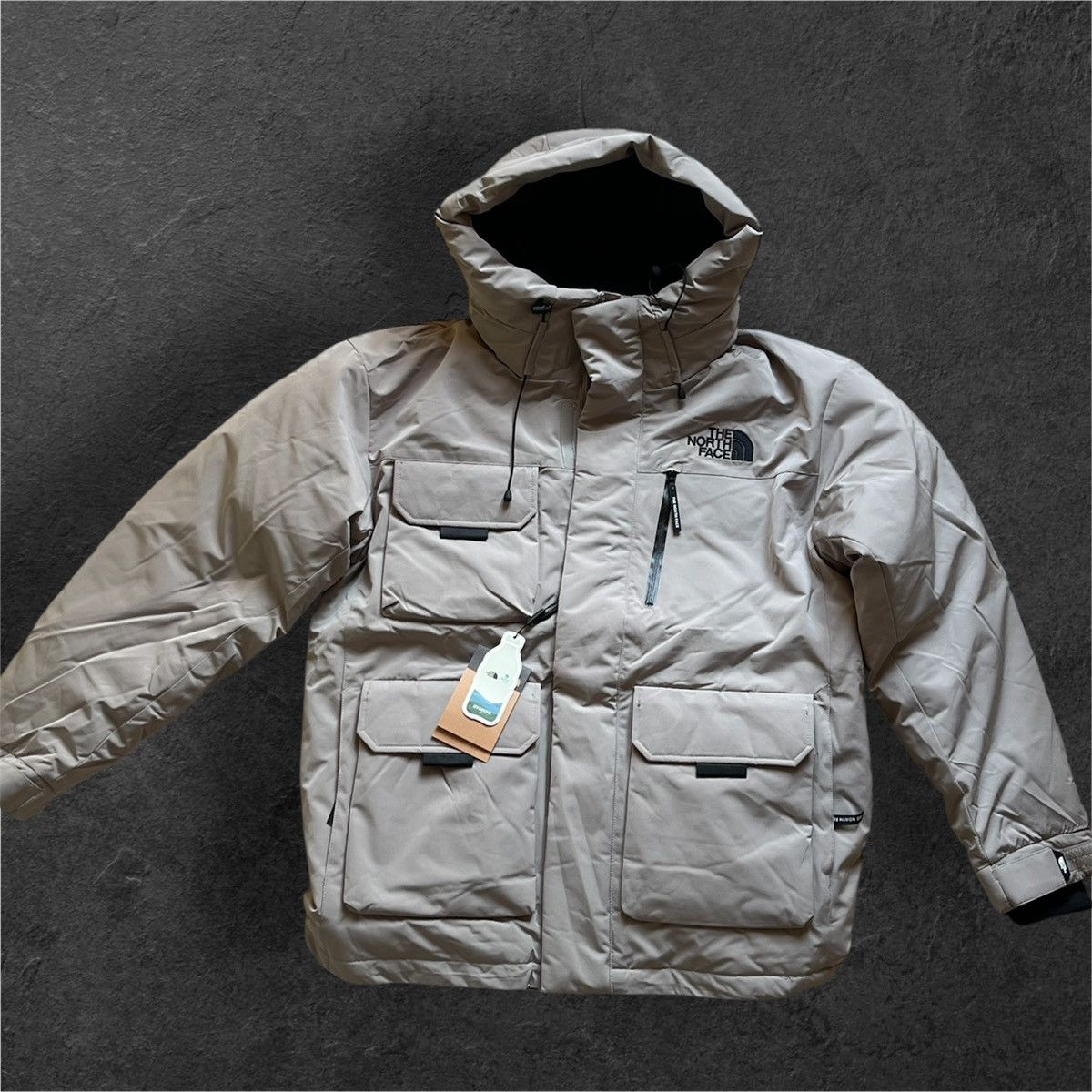 The North Face Eco Polar down Jacket