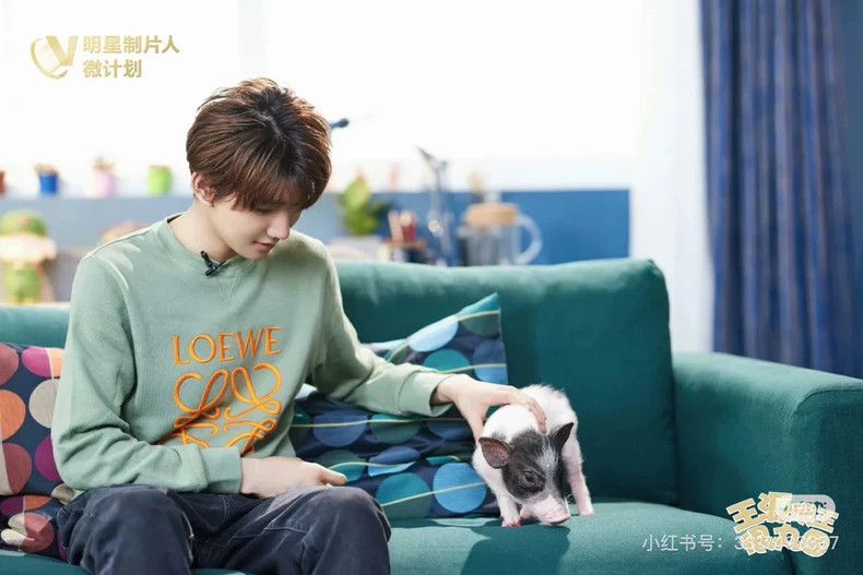 Loewe loewe Avocado logo printed sweatshirt 2506-Nextarrow Size US S / EU 44-46 / 1 - 6 Thumbnail
