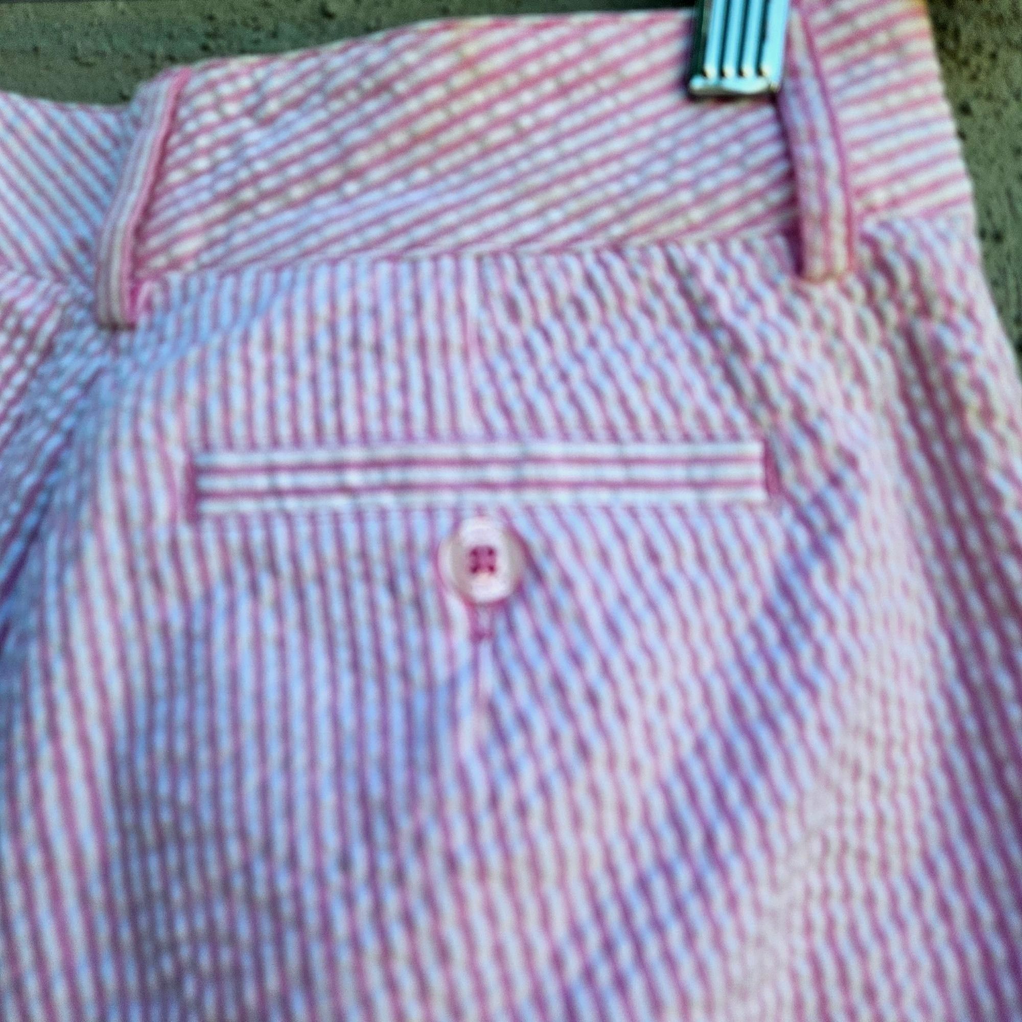 Lilly Pulitzer Lilly Pulitzer Pink Seersucker Shorts Size 0 Summer Preppy Size 25" / US 0 / IT 36 - 8 Thumbnail
