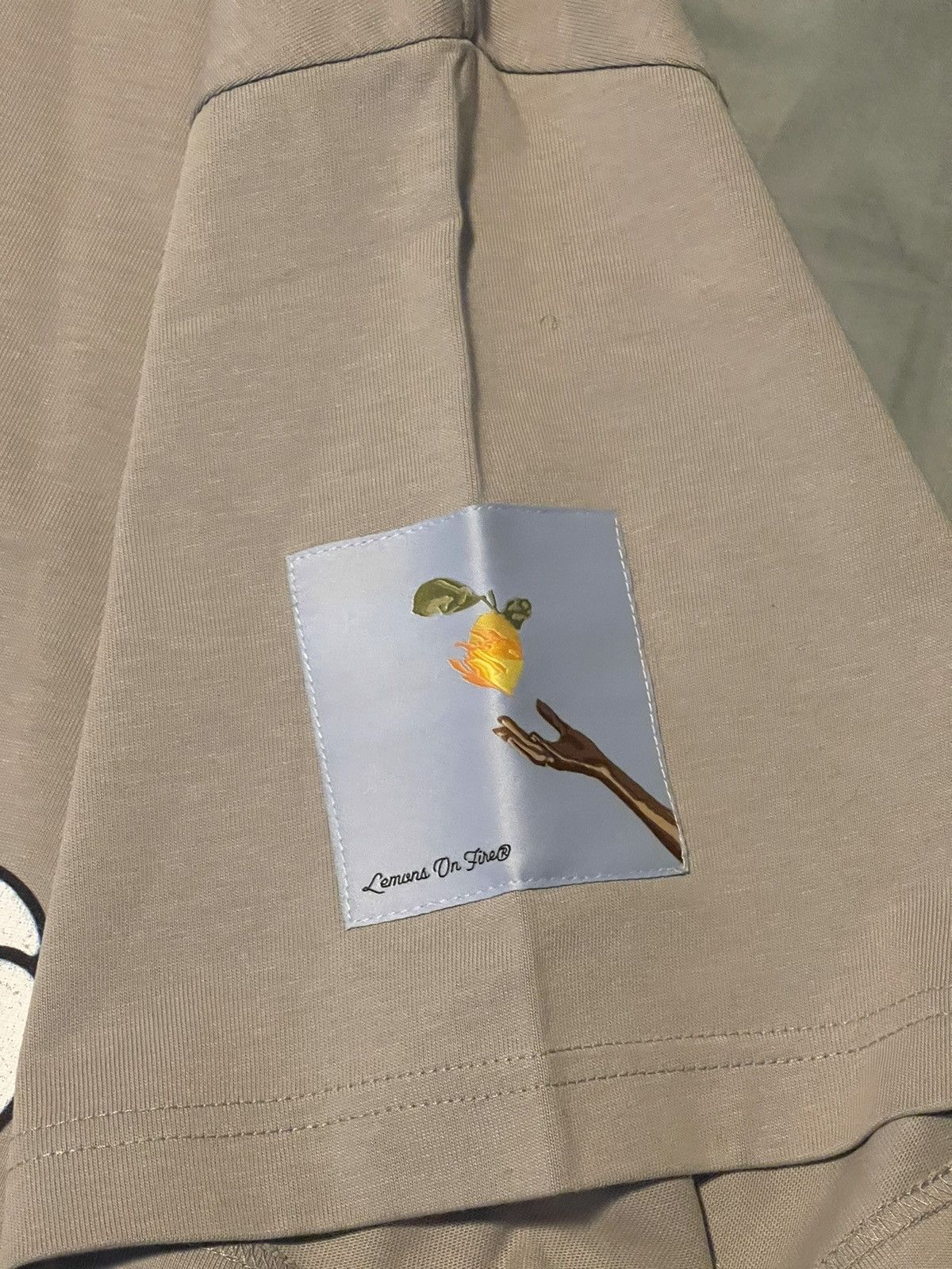 Other Lemons on Fire: Bugs Overwhelmed T-Shirt Size US XL / EU 56 / 4 - 4 Thumbnail