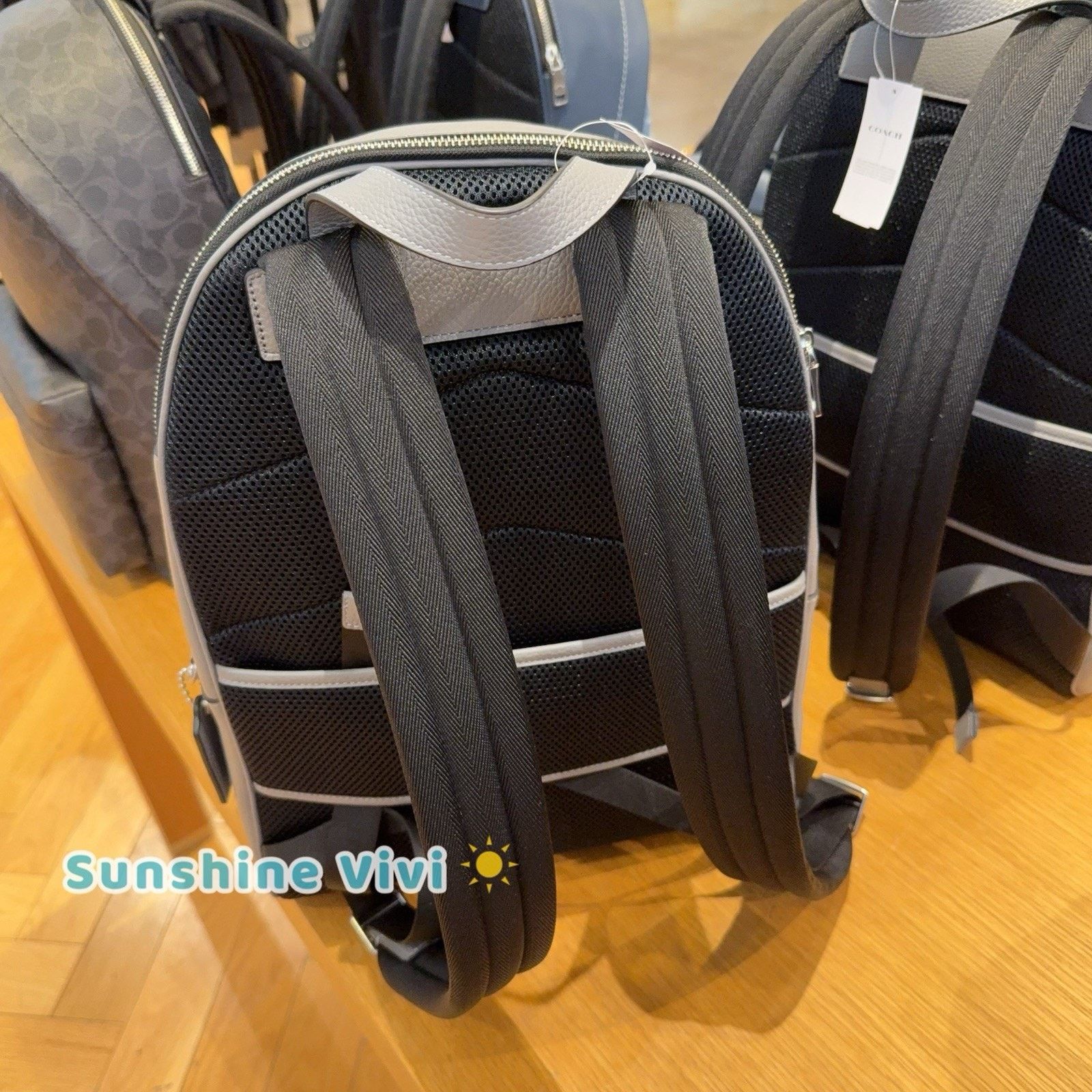 Coach NWT Coach Taylor Backpack In Leather CDX93 Silver/Graphite Size ONE SIZE - 7 Thumbnail