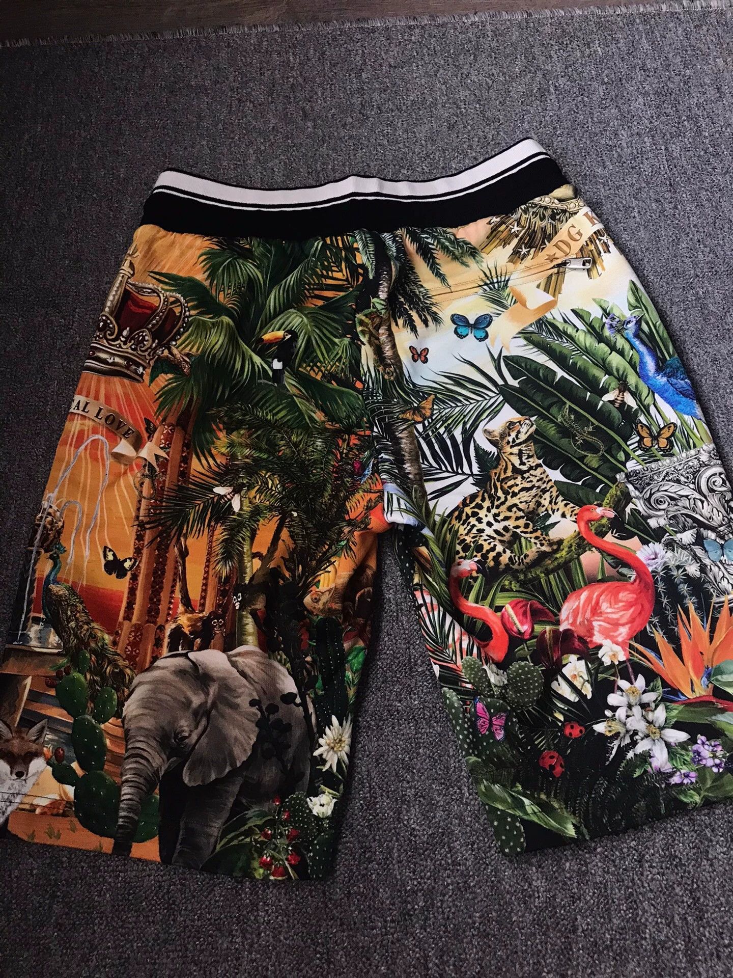 Dolce & Gabbana DG new 50 elastic waist tropical zoo print shorts Size US 34 / EU 50 - 2 Thumbnail