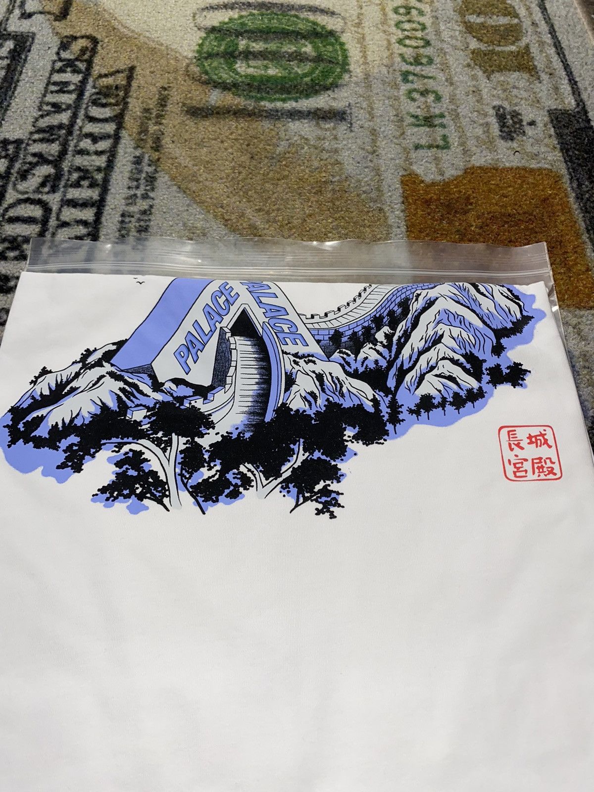 Palace Palace Great Wall of Tri-Na Tee Size US XL / EU 56 / 4 - 3 Thumbnail