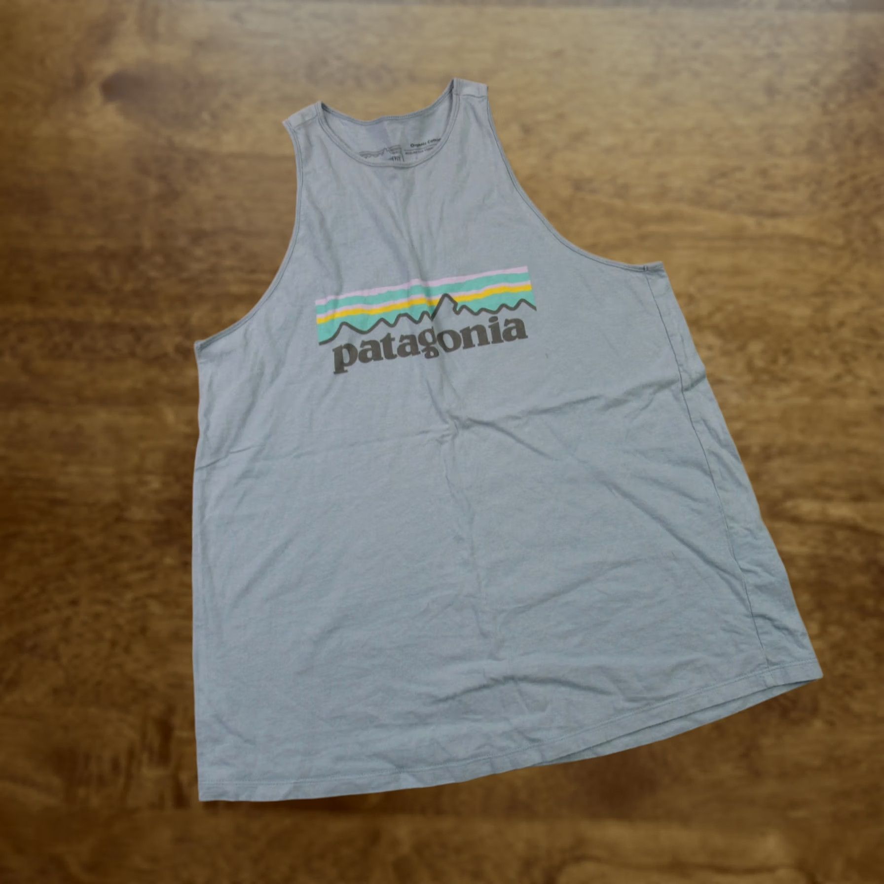 Patagonia Patagonia Tank Top Womens XS Sleeveless Lightweight Stretch Outdoors Blue Casual Size XS / US 0-2 / IT 36-38 - 1 Thumbnail
