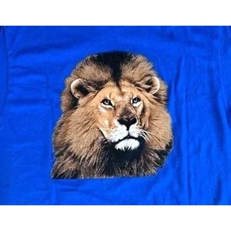 NFL × Starter RARE Detroit Lions 90s STARTER Image tee L Graphic NFL vtg Size US L / EU 52-54 / 3 - 4 Thumbnail