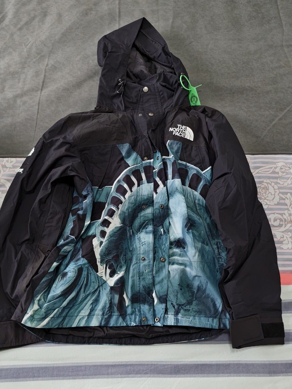 Supreme Supreme x The North Face Statue of Liberty Mountain Jacket S Size US M / EU 48-50 / 2 - 1 Thumbnail