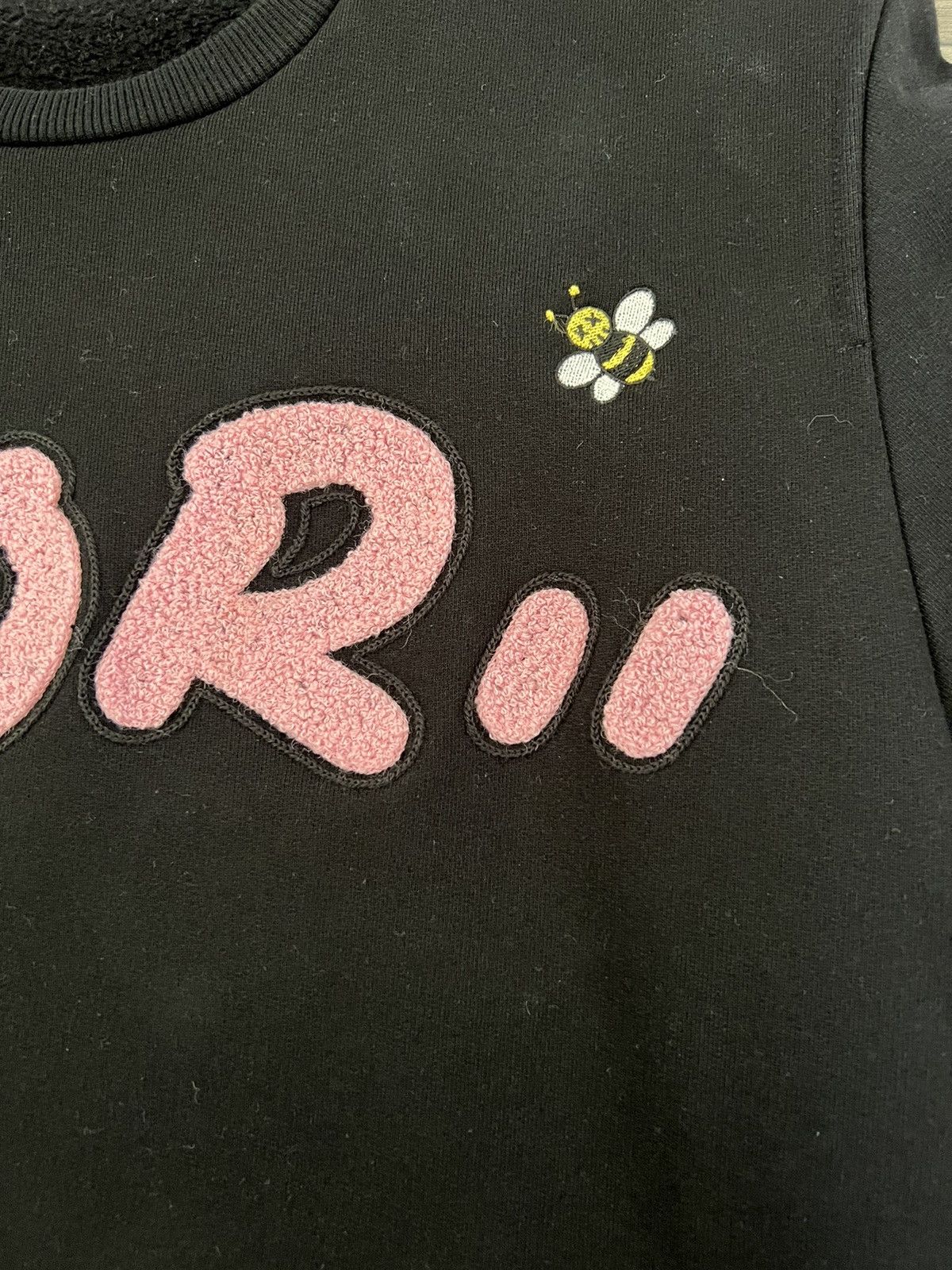 Dior x kaws