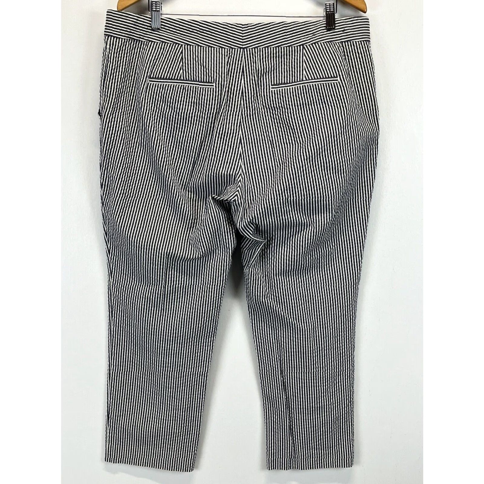 Ann Taylor Ann Taylor Cropped Seersucker Pants Blue White Striped Womens Size 14 Size 36" / US 14 / IT 50 - 3 Thumbnail