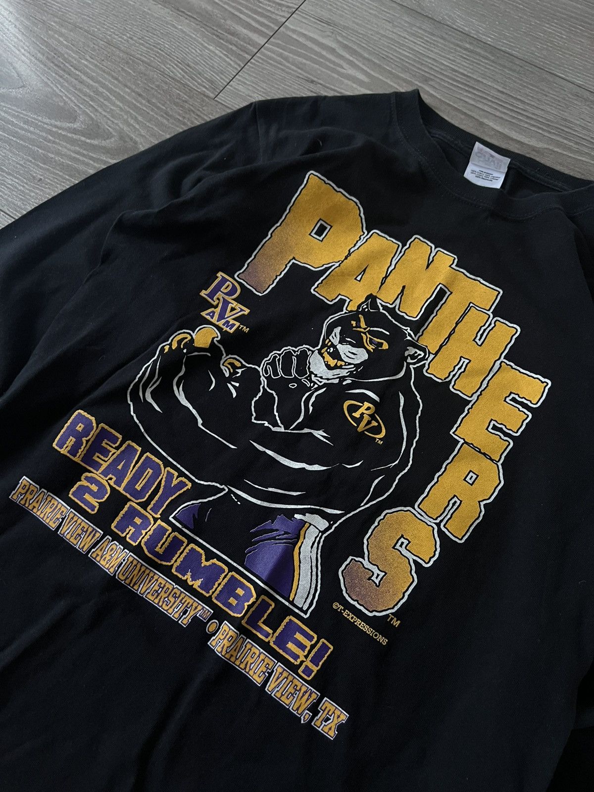 Band Tees × Vintage ‼️Panthers by Anvil Big Logo Print Long Sleeve Size US L / EU 52-54 / 3 - 9 Thumbnail