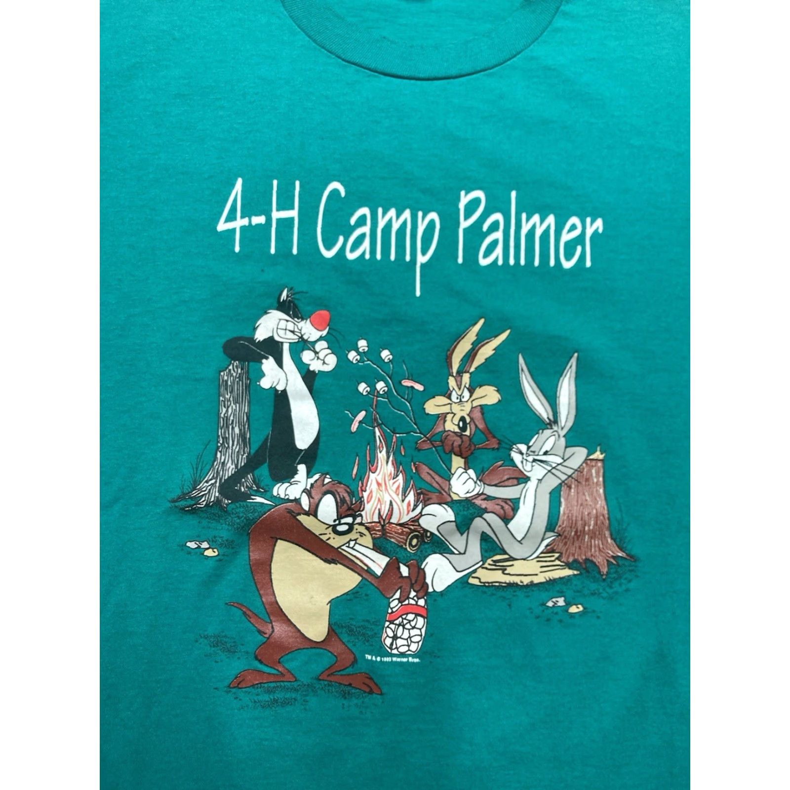 Velva Sheen VINTAGE Velva Sheen 90s T-Shirt graphic 4H camp Palmer ohio looney tunes skunk man XL Mens Blue Size US XL / EU 56 / 4 - 4 Thumbnail