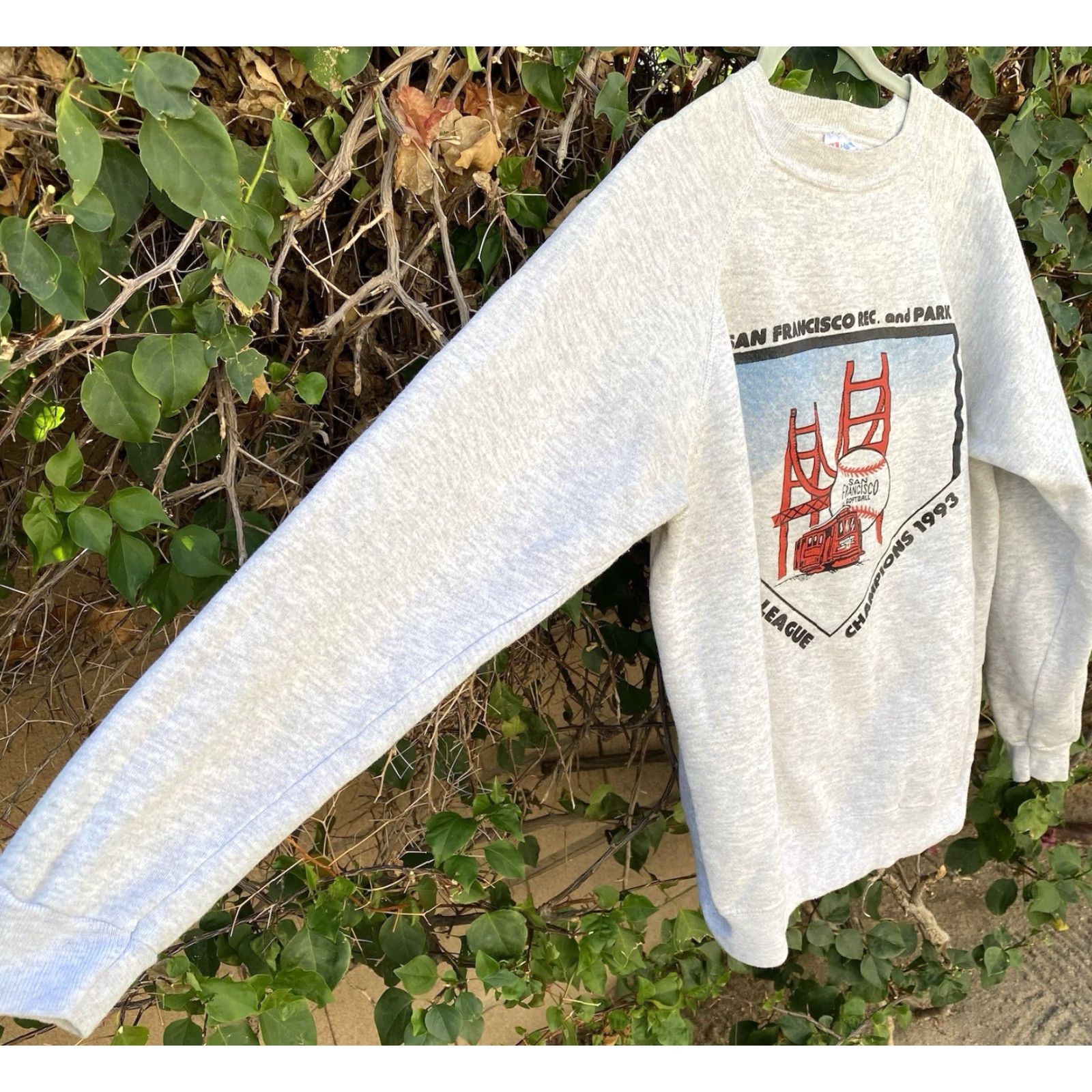 Hanes VINTAGE Hanes Sweatshirt San Francisco Rec. and Park Summer League Champions 1993 Graphic Print Gray L Men Size US L / EU 52-54 / 3 - 3 Thumbnail