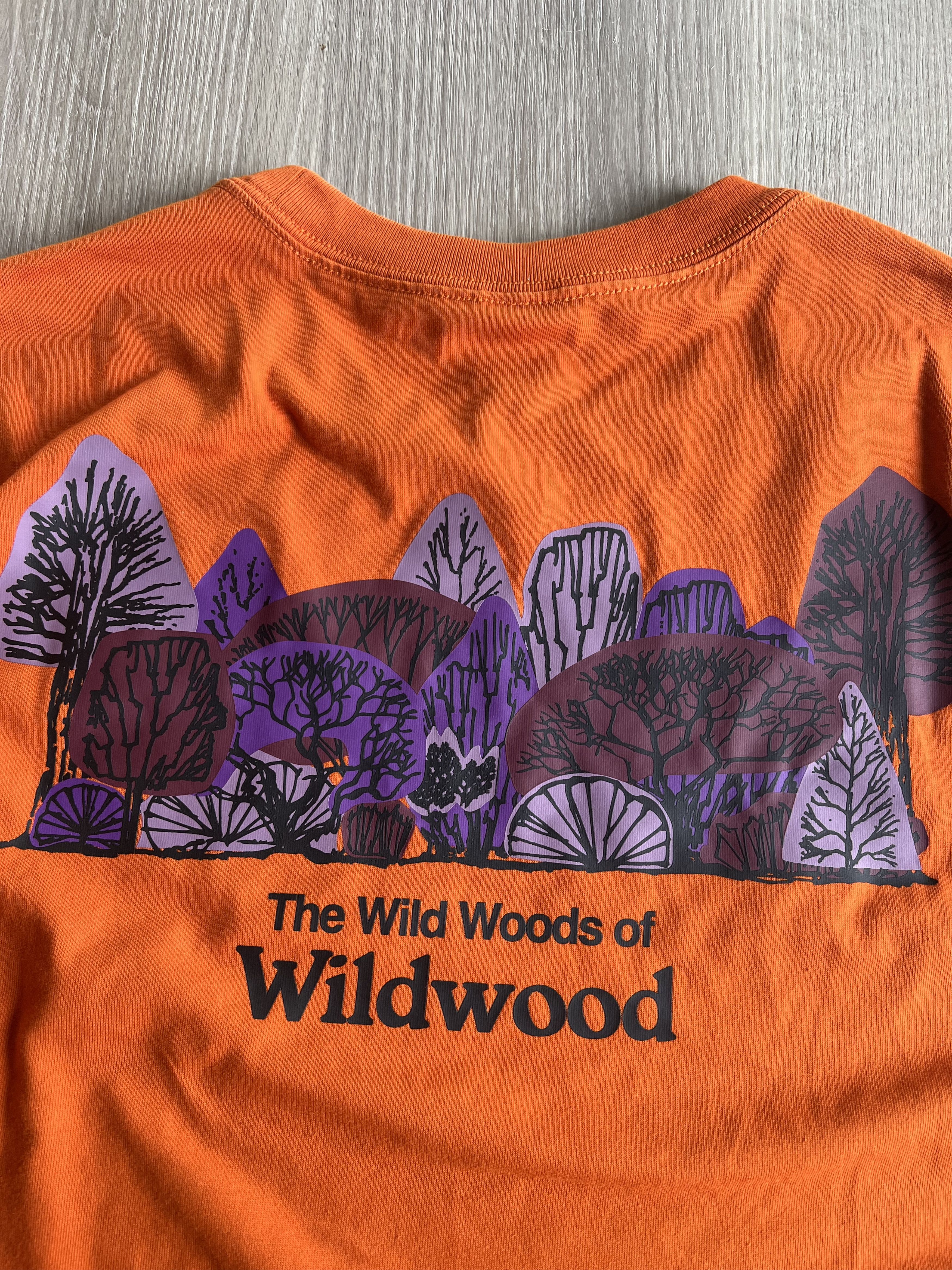 Nike ACG Wilderness Tee / Gorpcore Size US XL / EU 56 / 4 - 6 Thumbnail