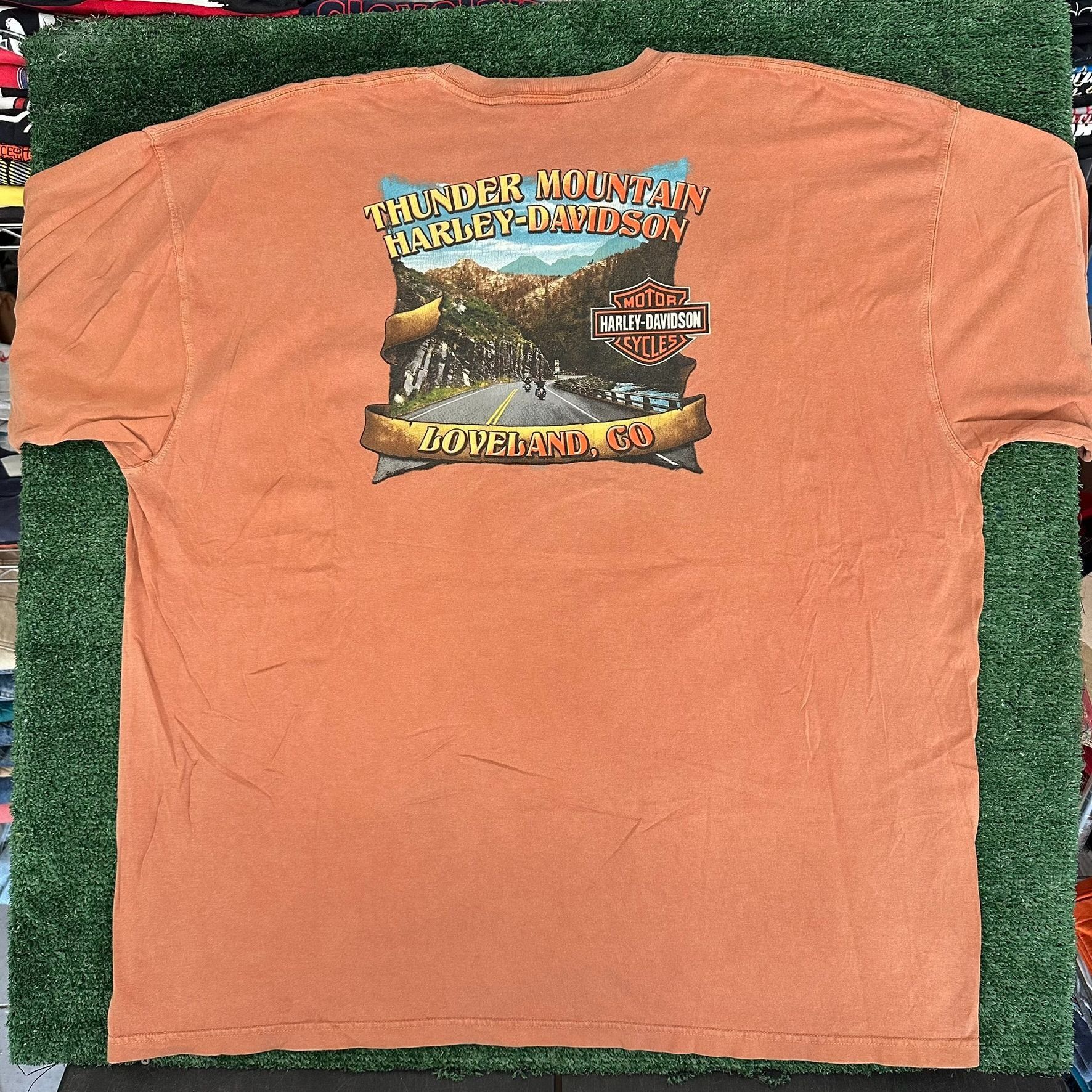 Harley Davidson Vintage Y2K Harley Davidson T-Shirt Moto Biker Loveland Colo Size US XXL / EU 58 / 5 - 4 Thumbnail