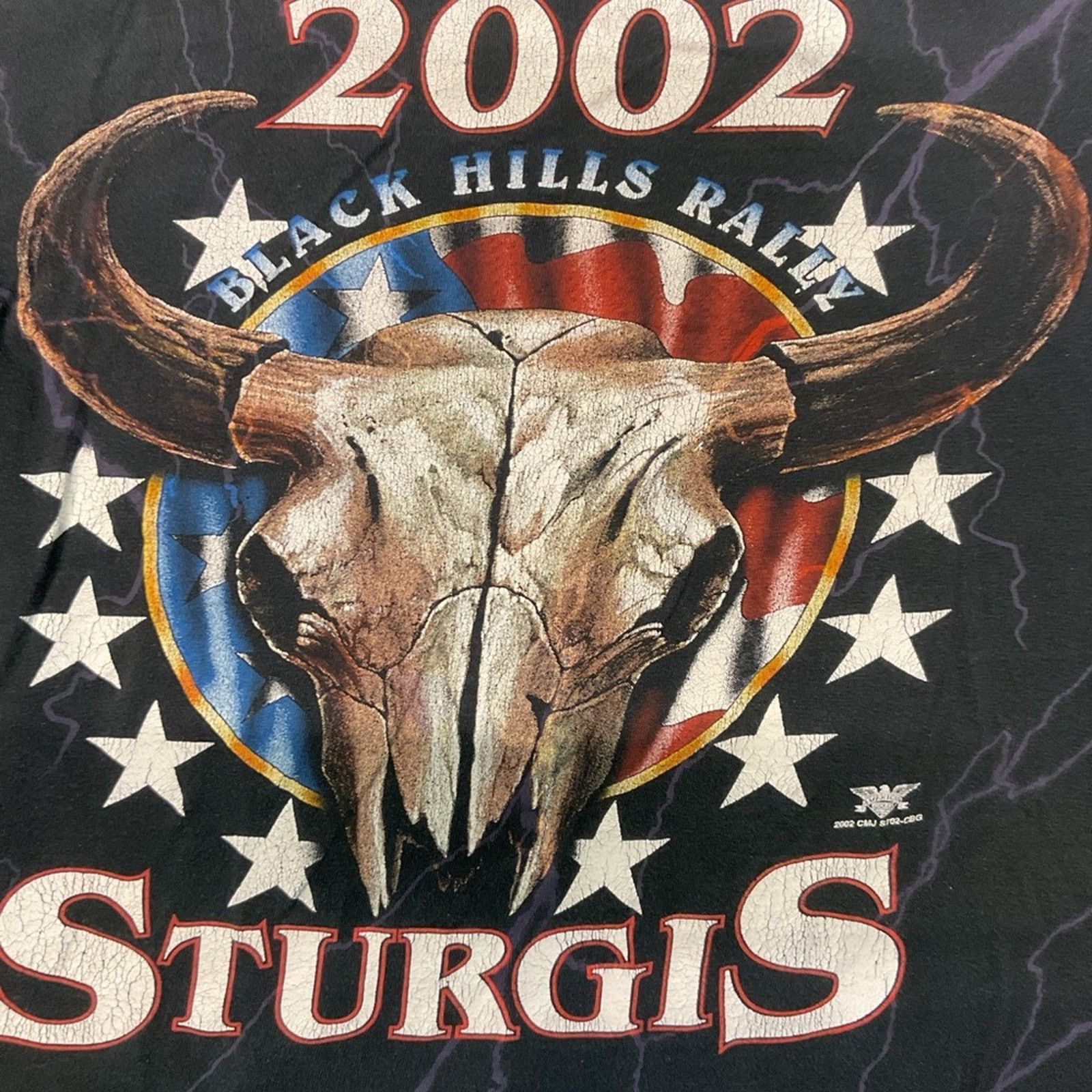 Vintage 2002 NCC Sturgis Lightning Eagle Black Hills Rally T-Shirt Size US M / EU 48-50 / 2 - 4 Thumbnail