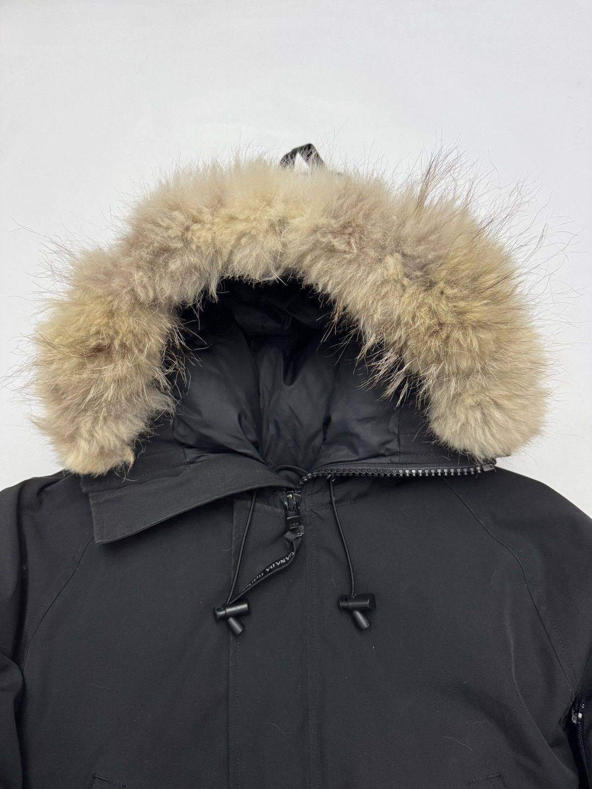 Canada Goose Canada Goose Chilliwack bomber Size US S / EU 44-46 / 1 - 7 Thumbnail